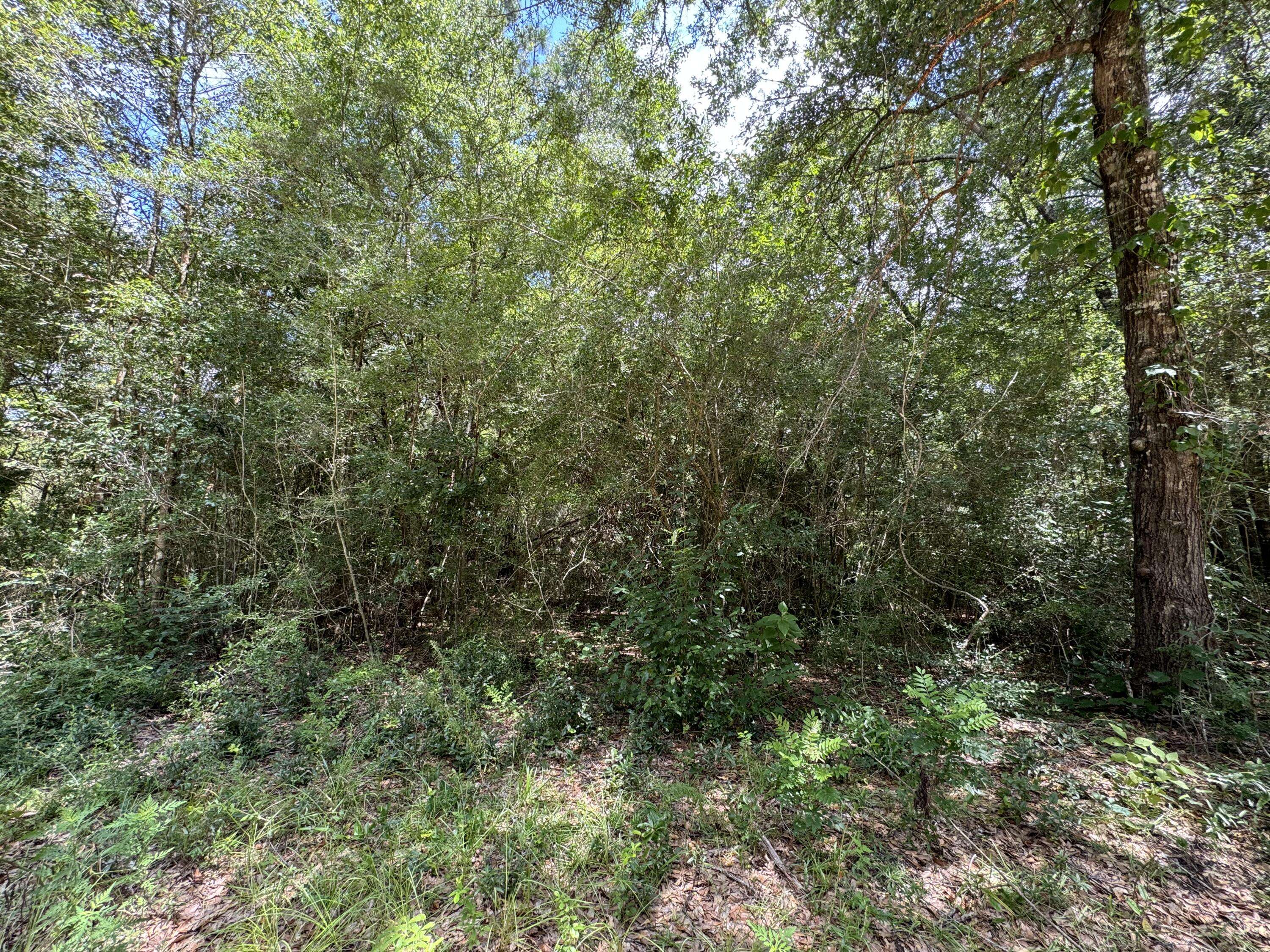 Bonifay, FL 32425,Lot 165 Possum Trot