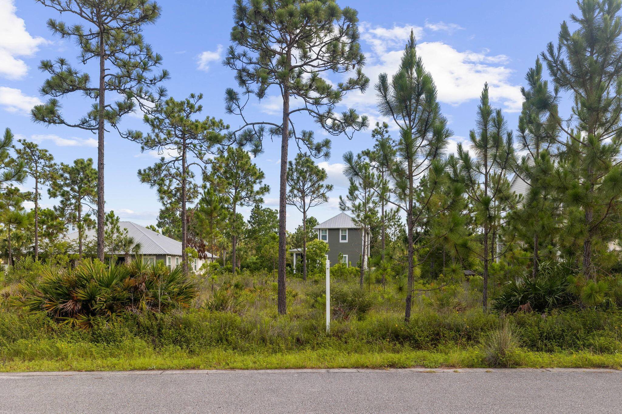 Santa Rosa Beach, FL 32459,224 Plantation Circle  #Lot 58