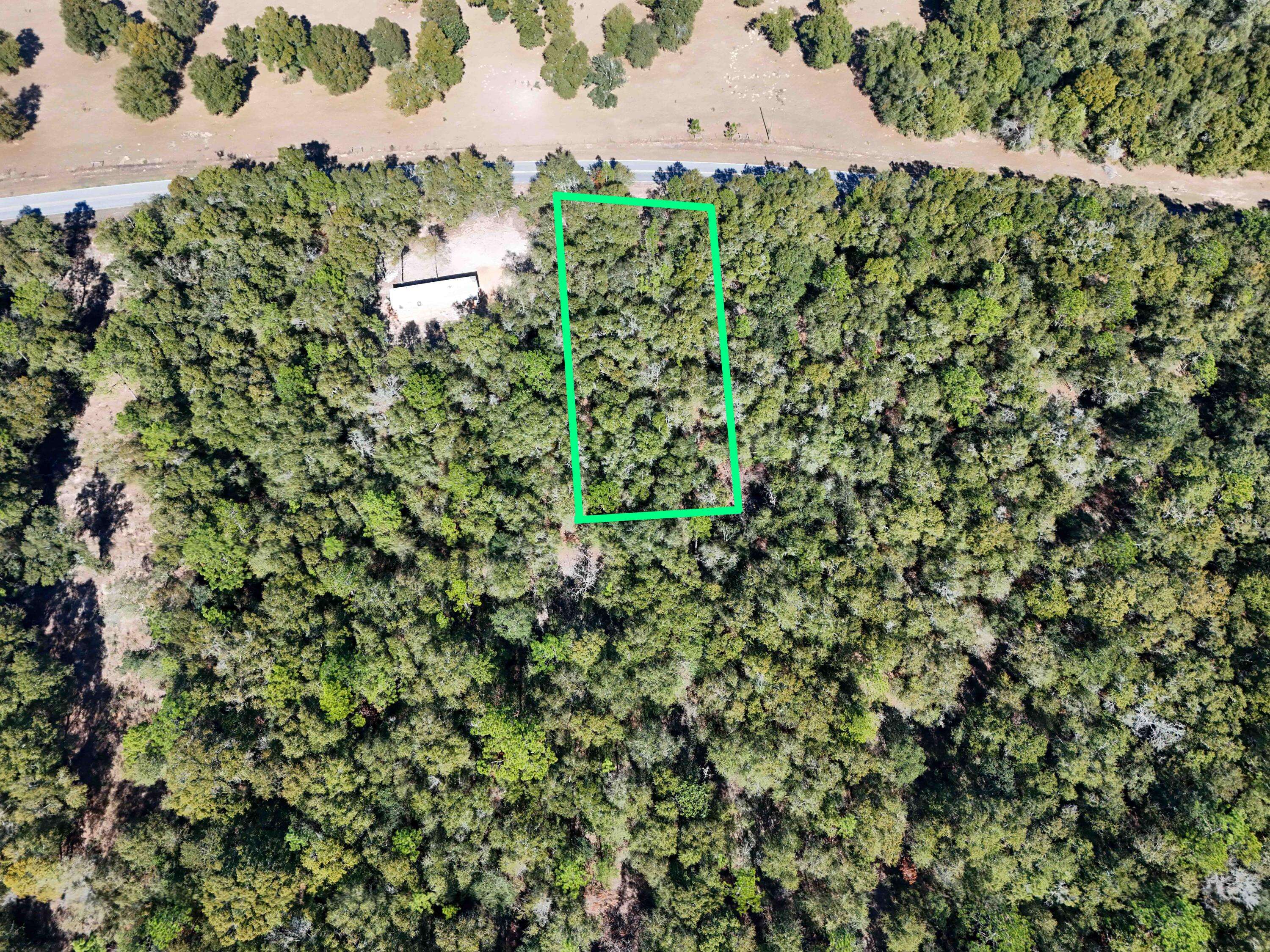 Defuniak Springs, FL 32433,0.46 Williams Road