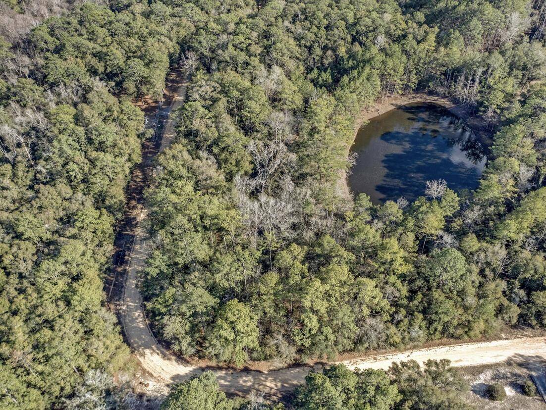 Ponce De Leon, FL 32455,Lot 25 Blue Creek Road