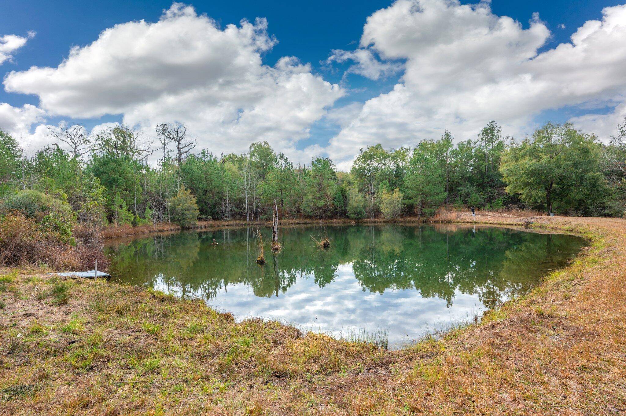 Florala, AL 36442,81 Acres Union Road