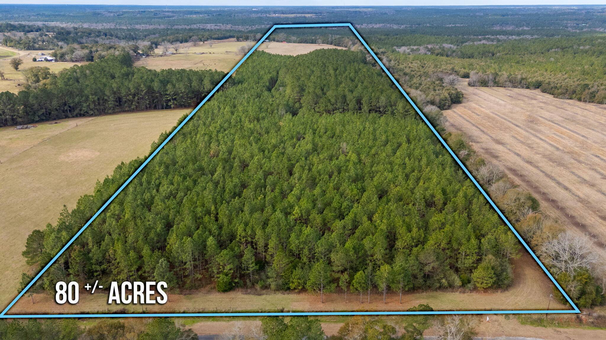 Florala, AL 36442,81 Acres Union Road