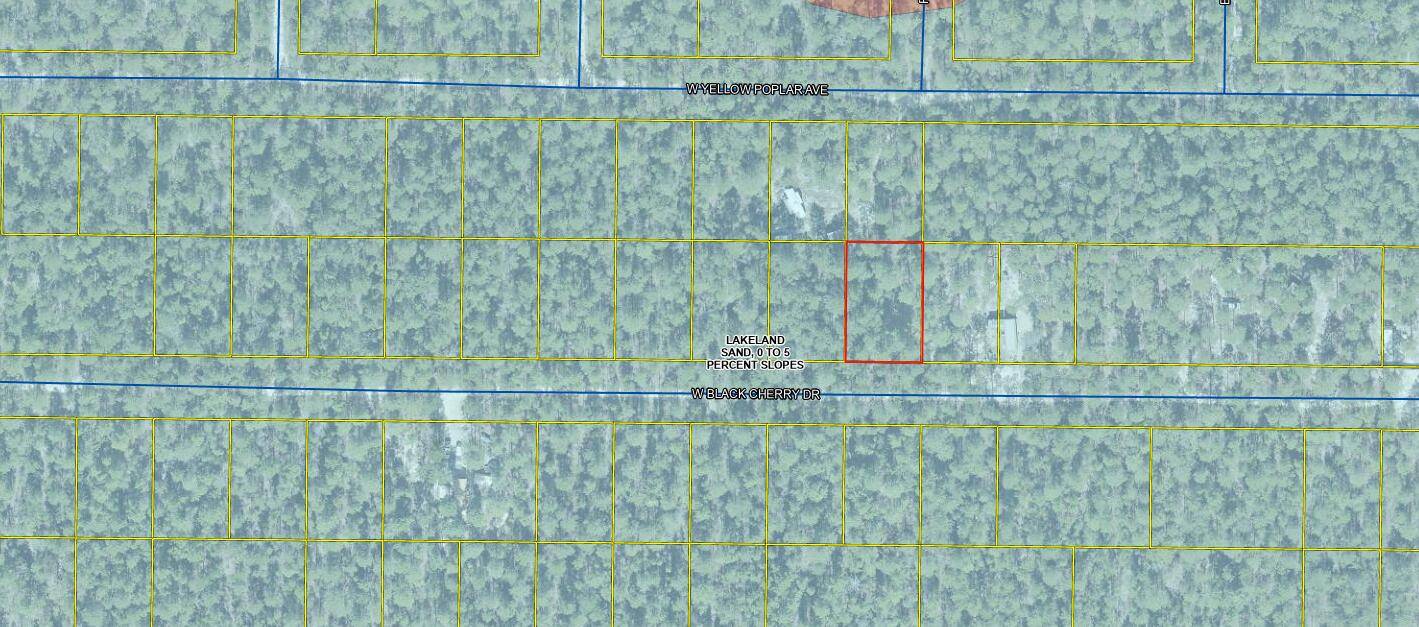 Defuniak Springs, FL 32433,Lot 43 W Black Cherry Drive