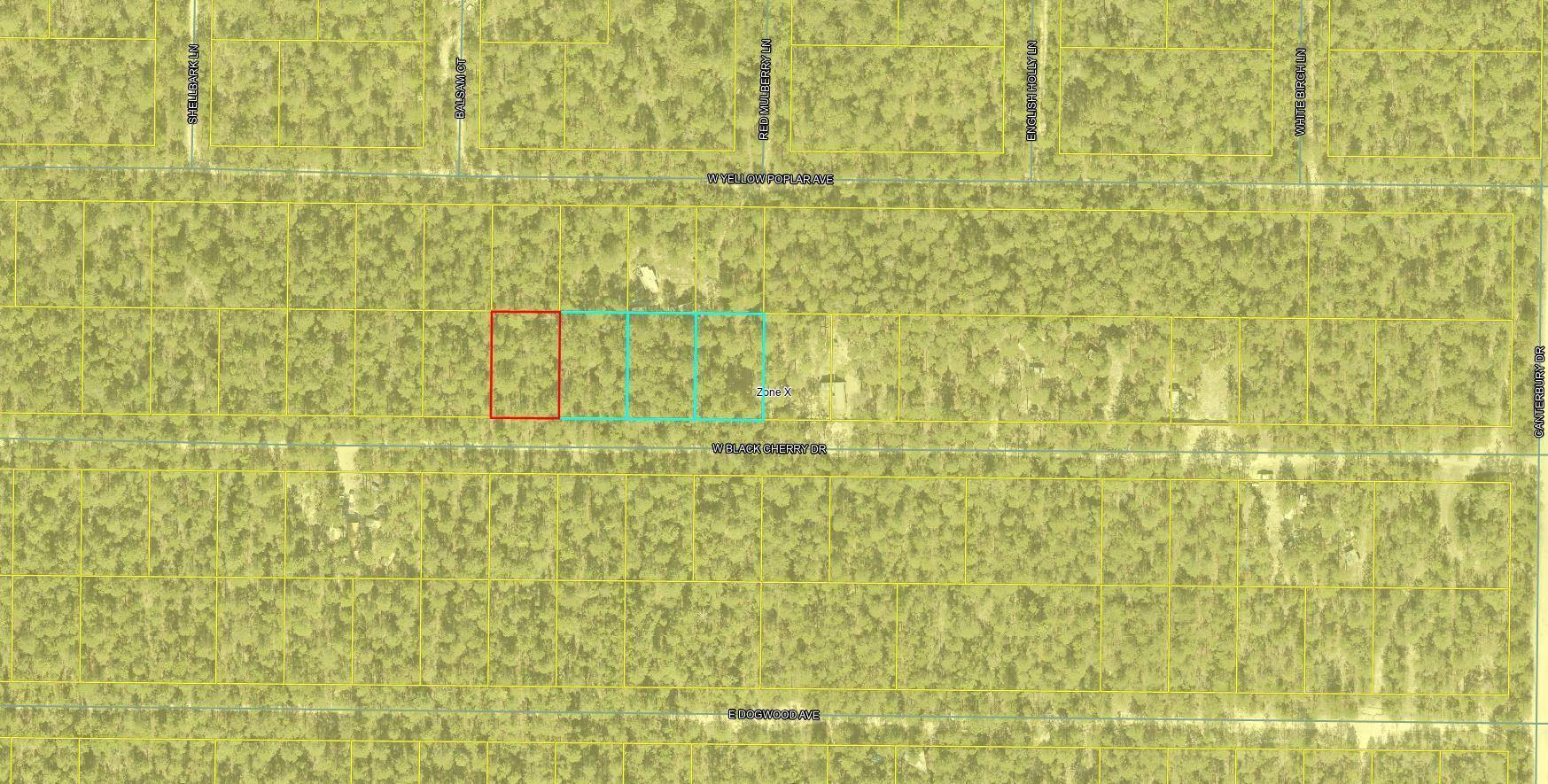 Defuniak Springs, FL 32433,Lot 46 W Black Cherry Drive