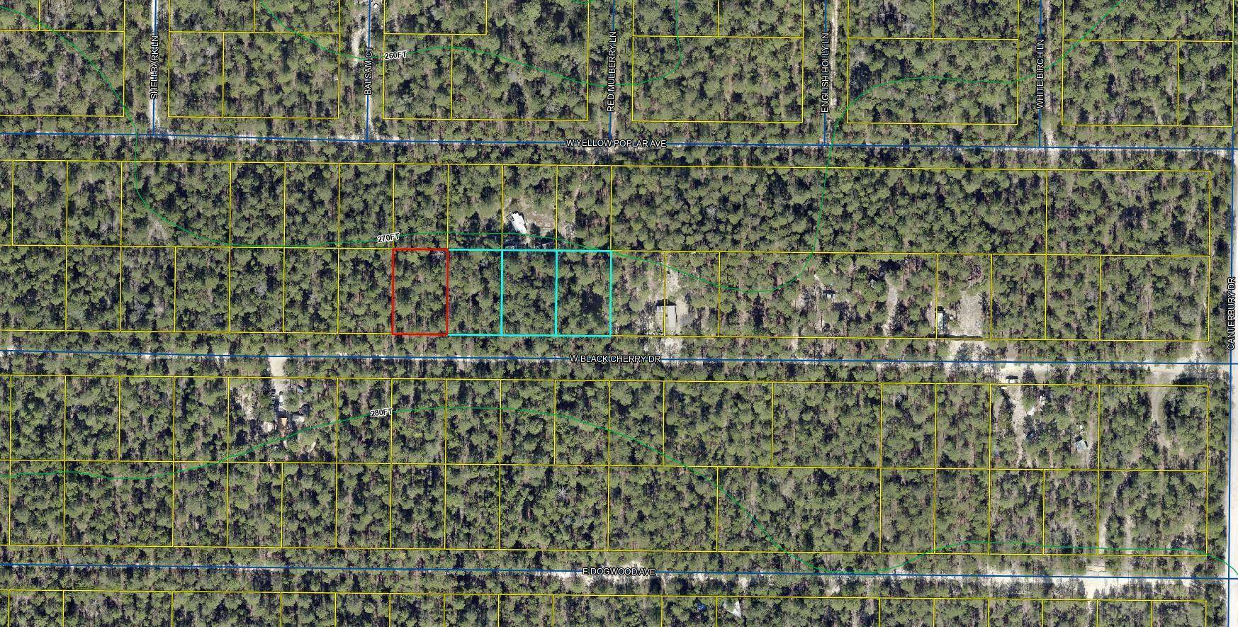 Defuniak Springs, FL 32433,Lot 46 W Black Cherry Drive
