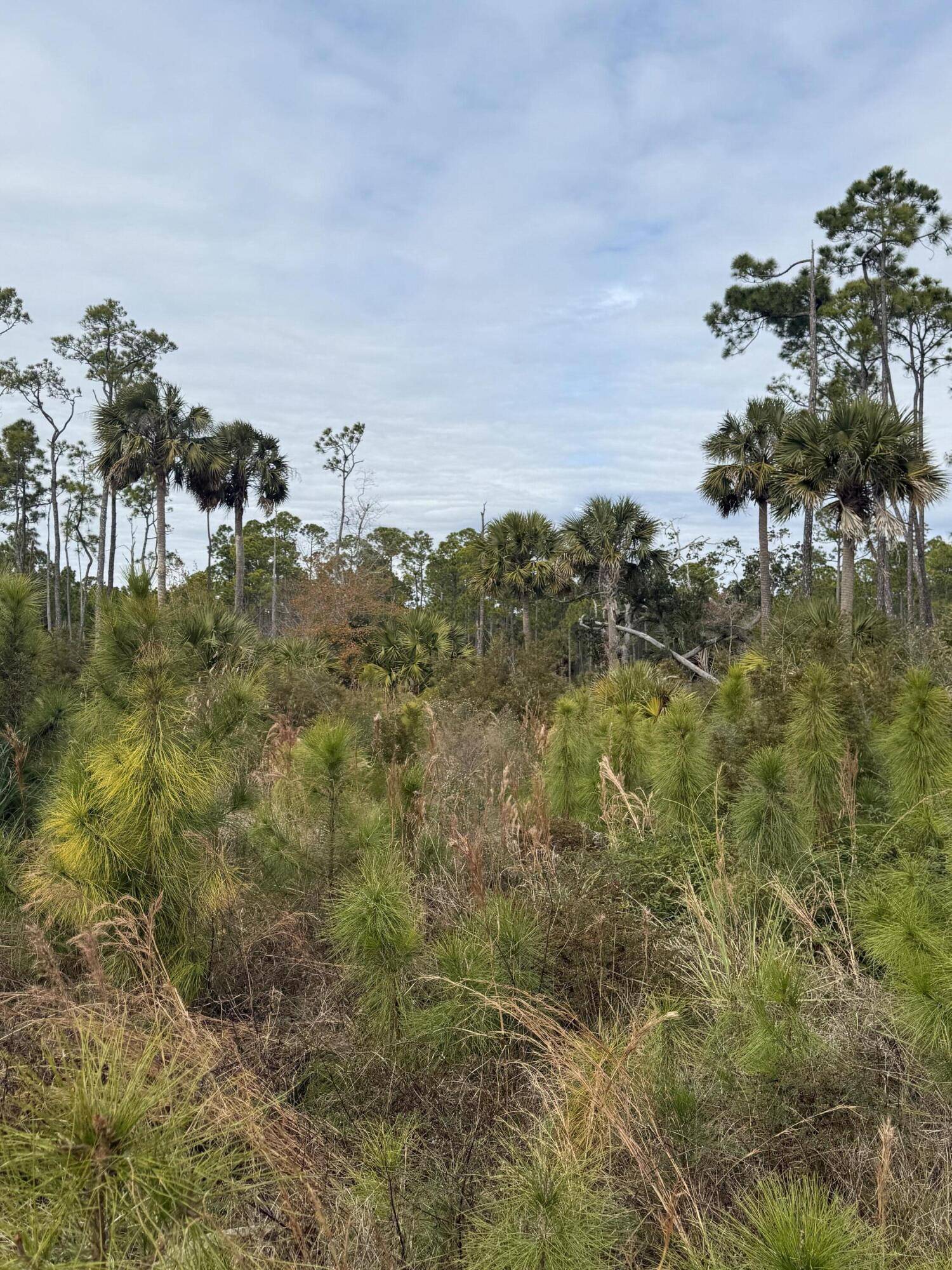 Cape San Blas, FL 32456,7951 CR 30A