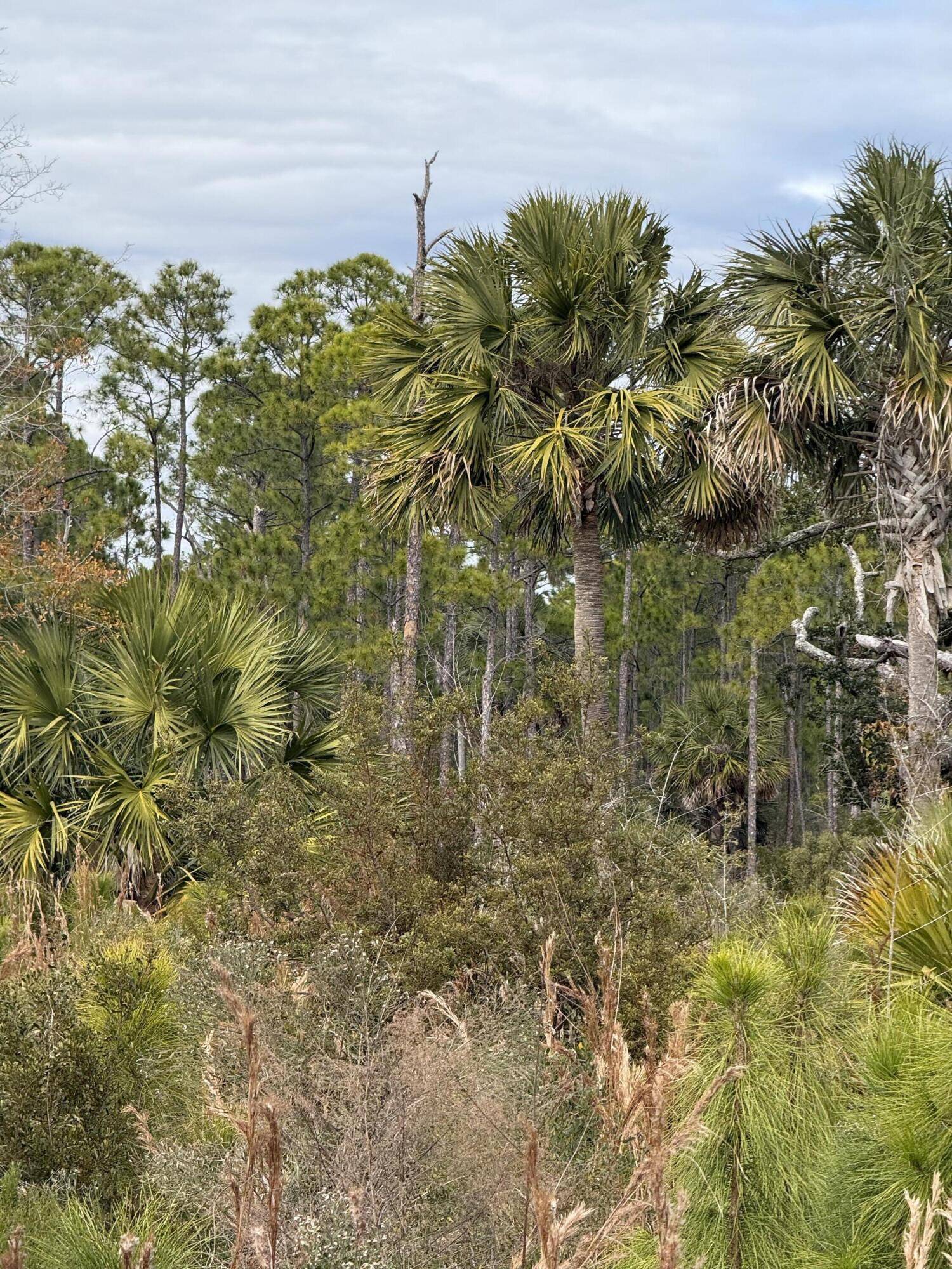 Cape San Blas, FL 32456,7951 CR 30A