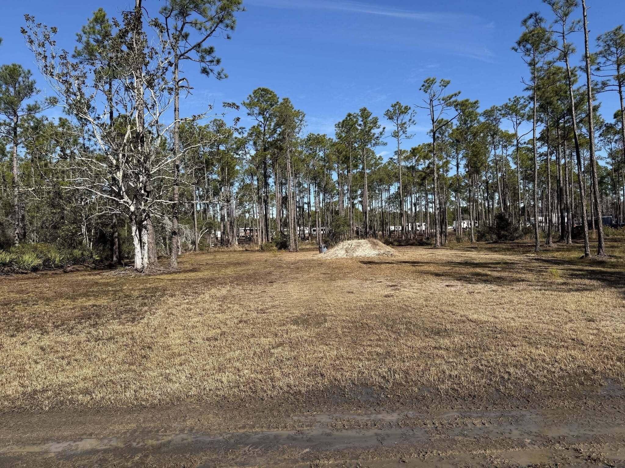 Santa Rosa Beach, FL 32459,Lot 6 Foxmire Farm Road