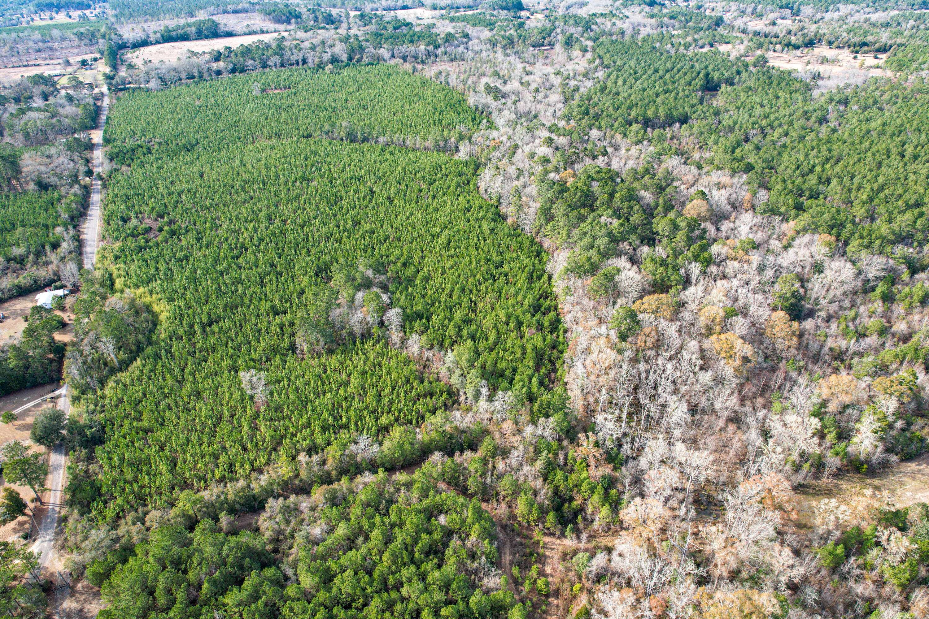 Ponce De Leon, FL 32455,TBD State Hwy 81