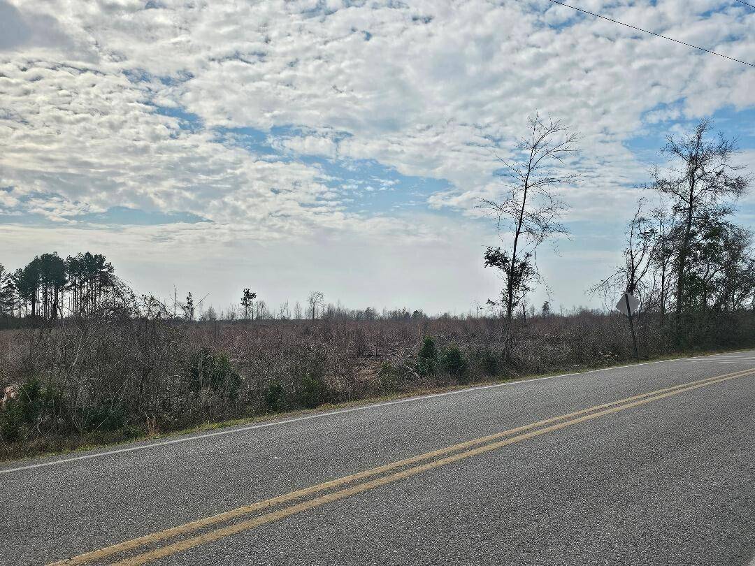 Laurel Hill, FL 32567,93.89 Acre Clear Springs Road