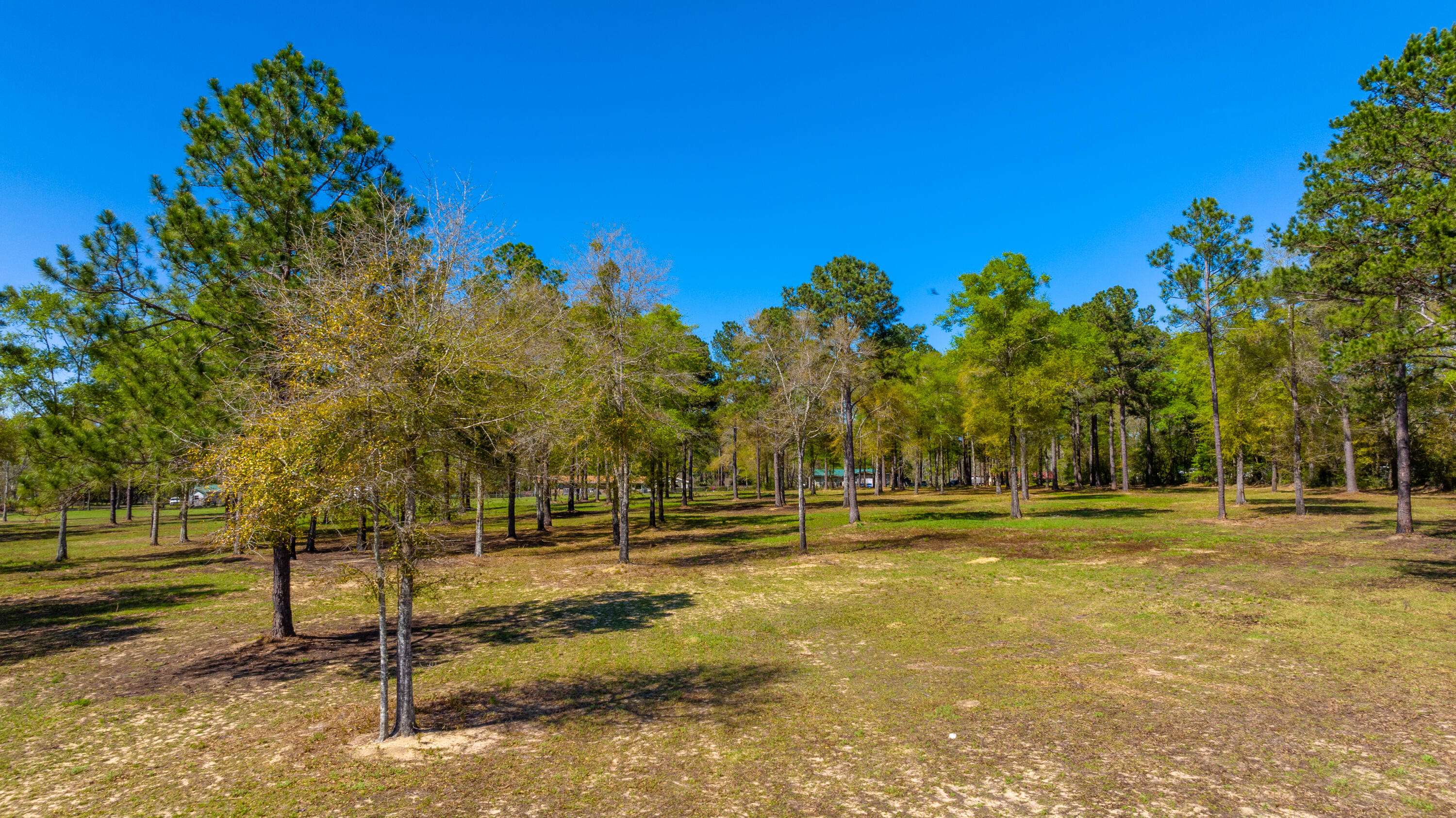 Paxton, FL 32538,20 Acres Cannon Drive