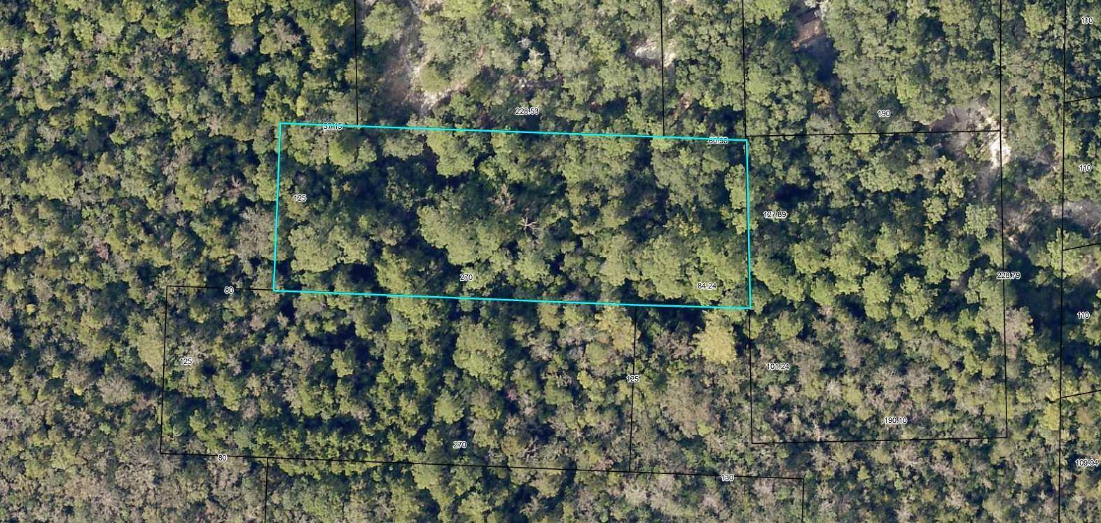 Holt, FL 32564,TBD Leisure Lane