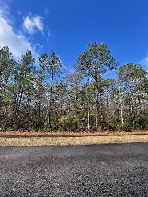 Freeport, FL 32439,Lot 113 Oak Harbour