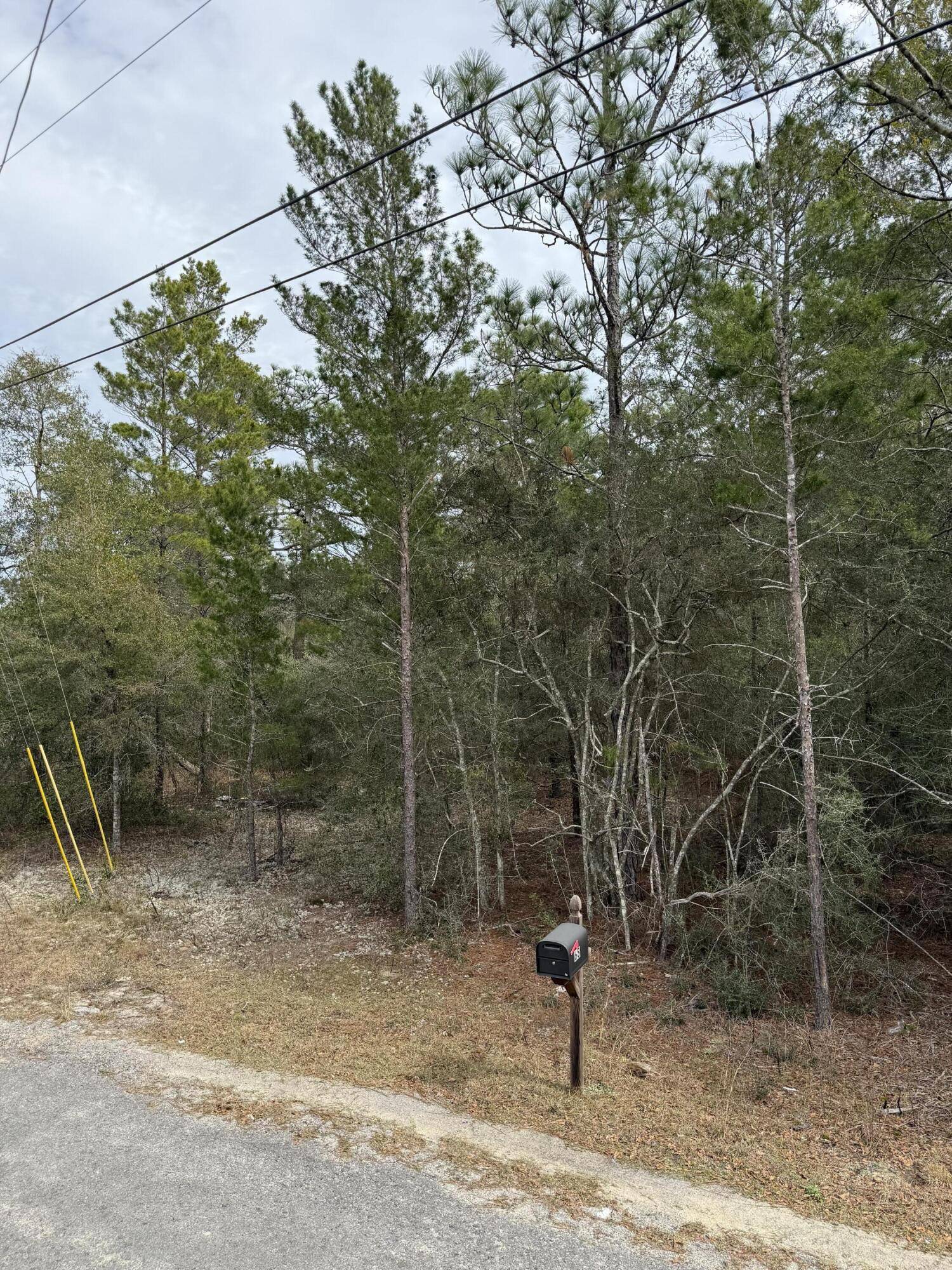 Defuniak Springs, FL 32433,Lot 22 W Picasso Circle