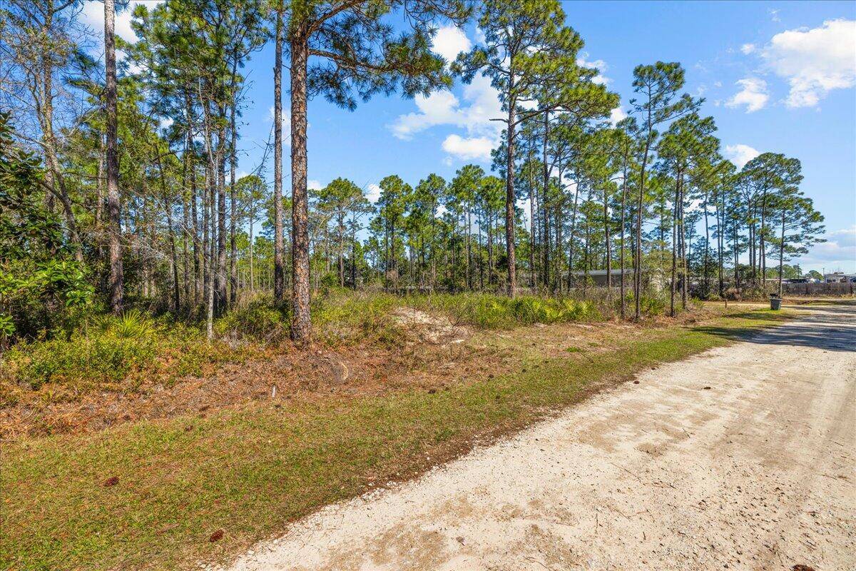 Santa Rosa Beach, FL 32459,Lot 12 Duffy Lane