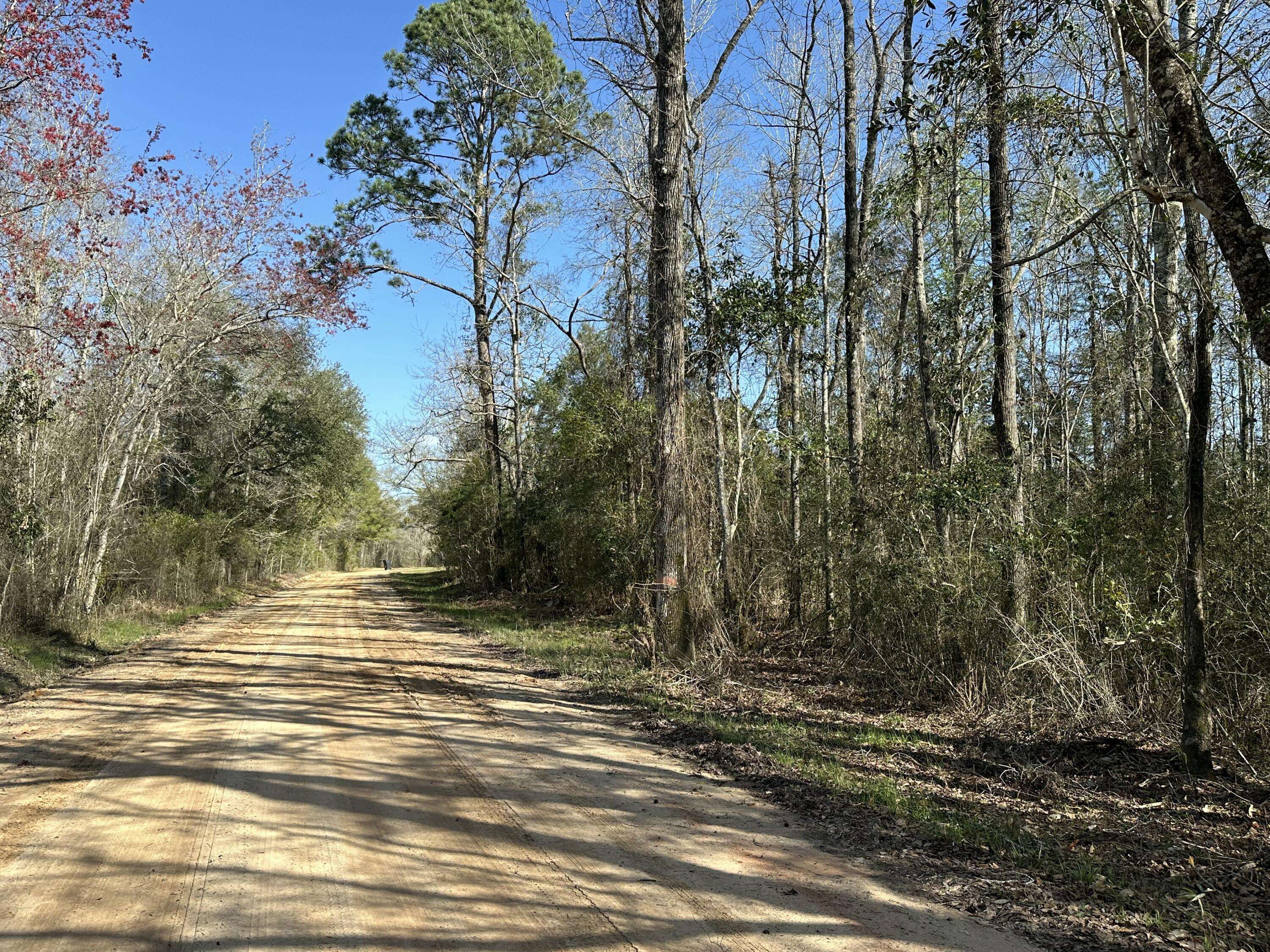 Bonifay, FL 32425,Tract#6317 Harris Stevenson Road