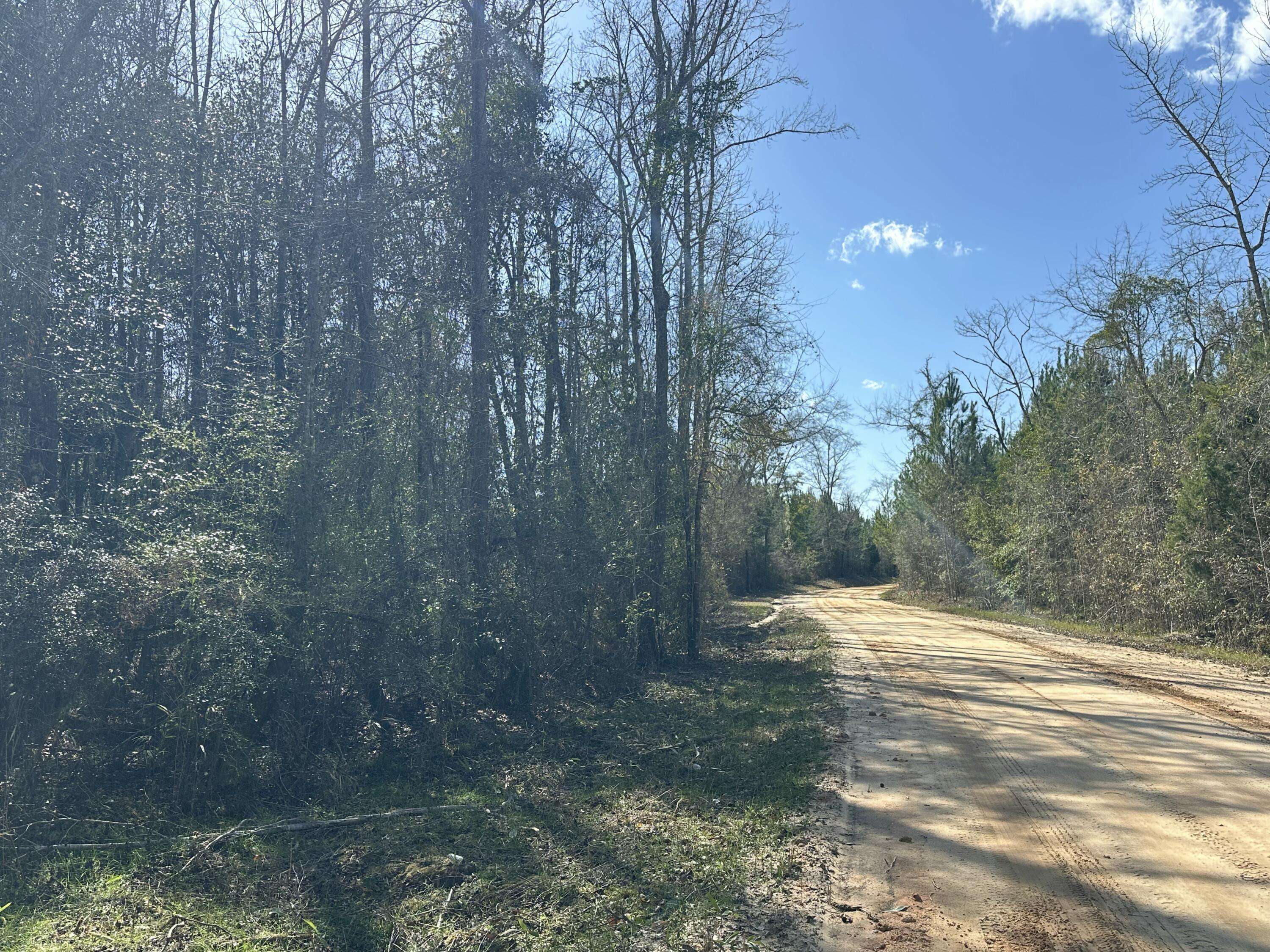 Bonifay, FL 32425,Tract#6317 Harris Stevenson Road