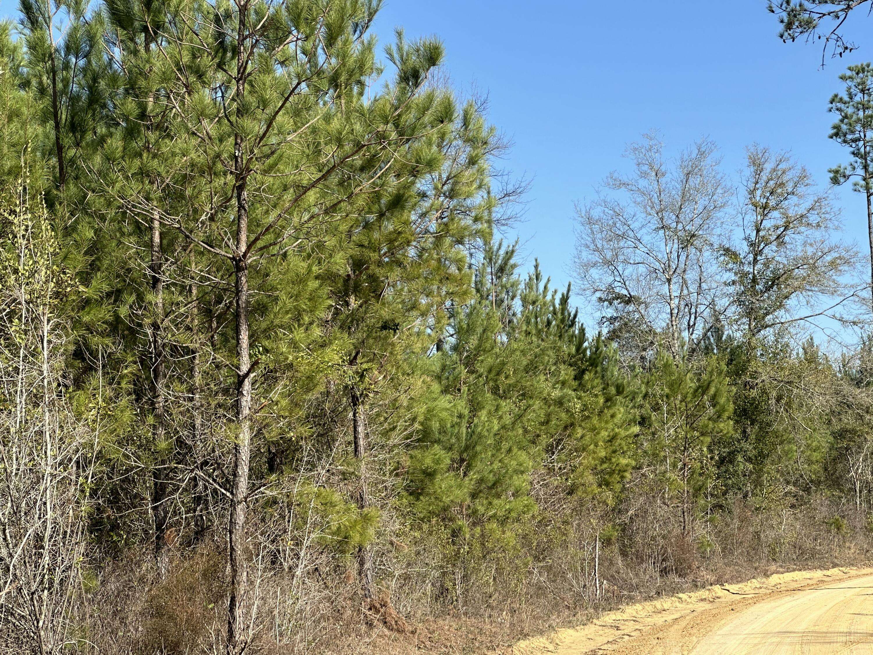 Bonifay, FL 32425,Tract#6317 Harris Stevenson Road