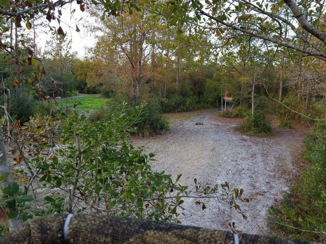 Crestview, FL 32539,TBD Sowell Drive