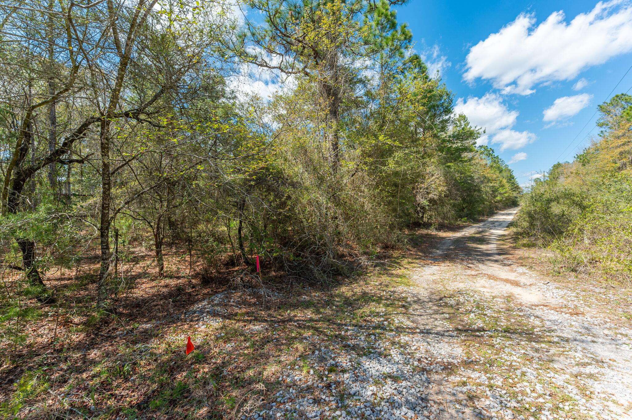 Defuniak Springs, FL 32435,TBD Wildwood Lakes Drive