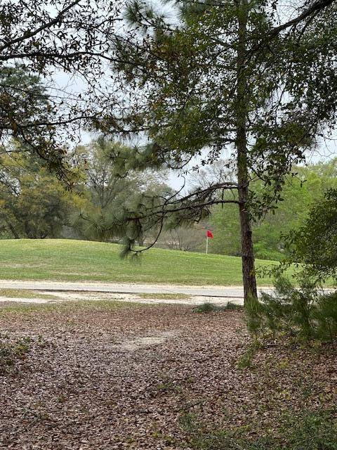 Niceville, FL 32578,446 Marion Drive