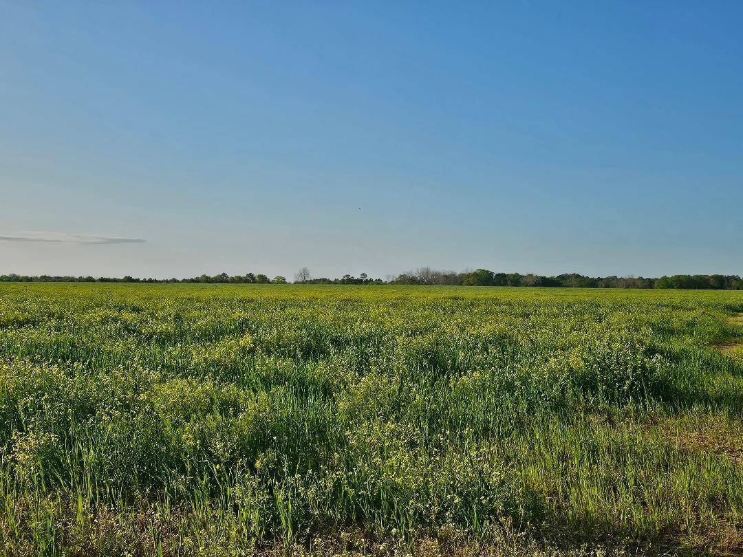 Defuniak Springs, FL 32433,190 acres CO HWY 2A