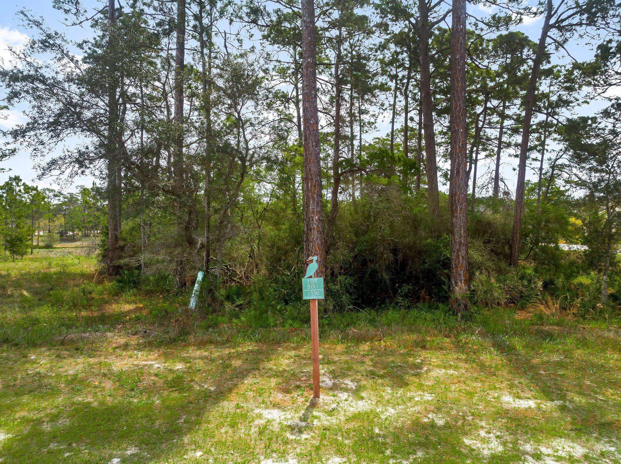 Panama City Beach, FL 32413,1530 Sharks Tooth Trail