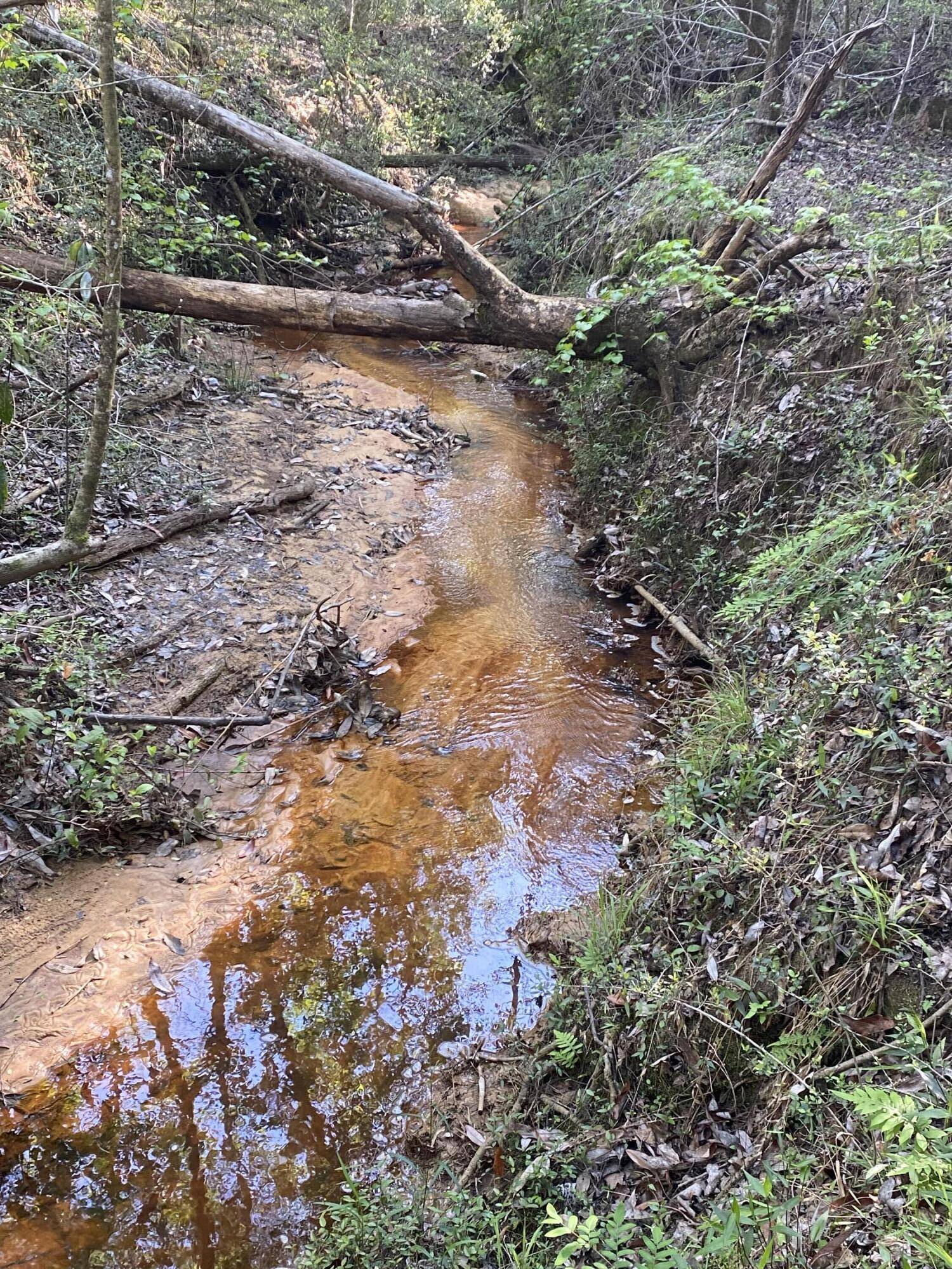 Baker, FL 32531,44 acres Sherman Kennedy RD