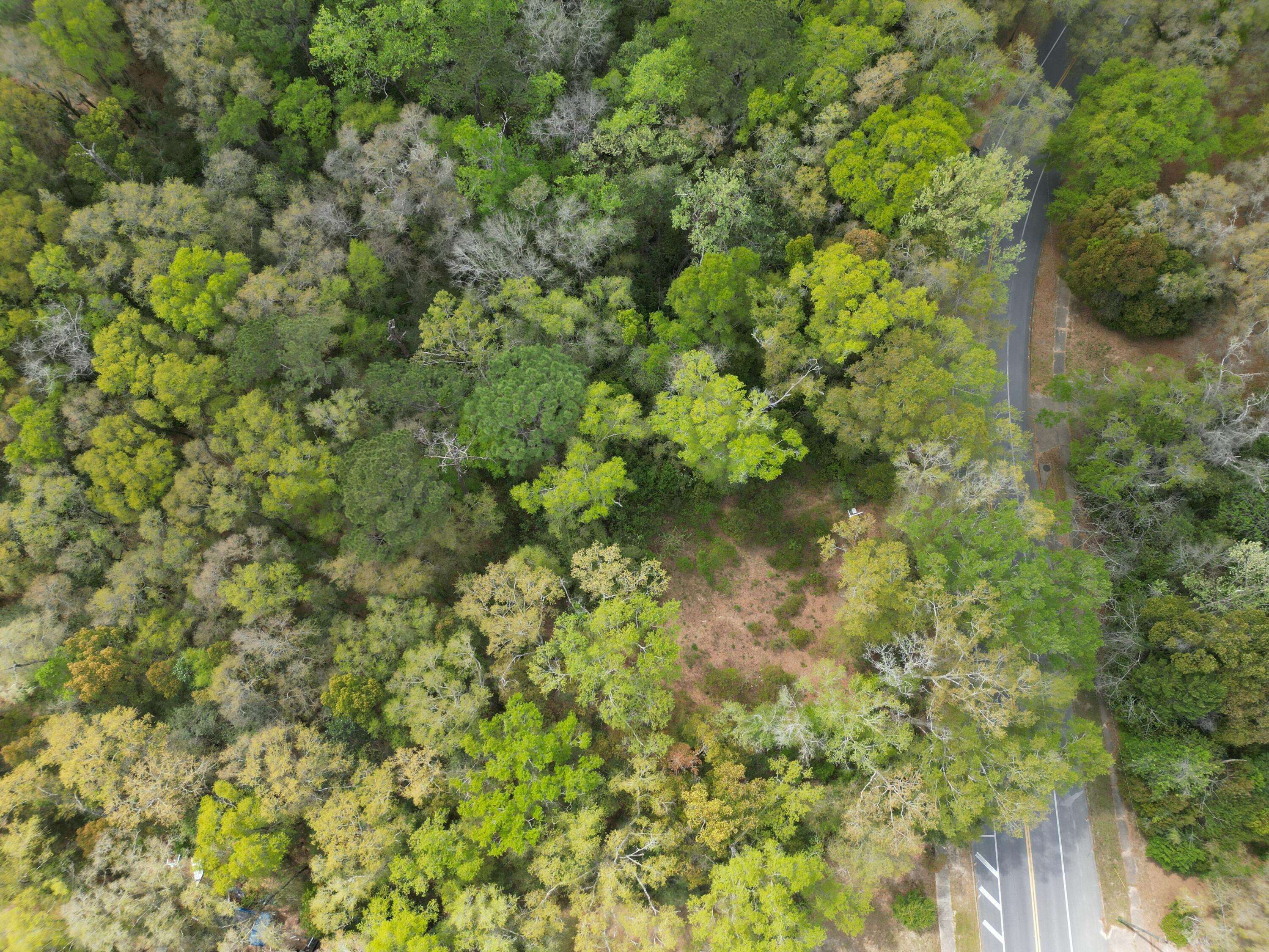 Defuniak Springs, FL 32435,TBD Bay Avenue