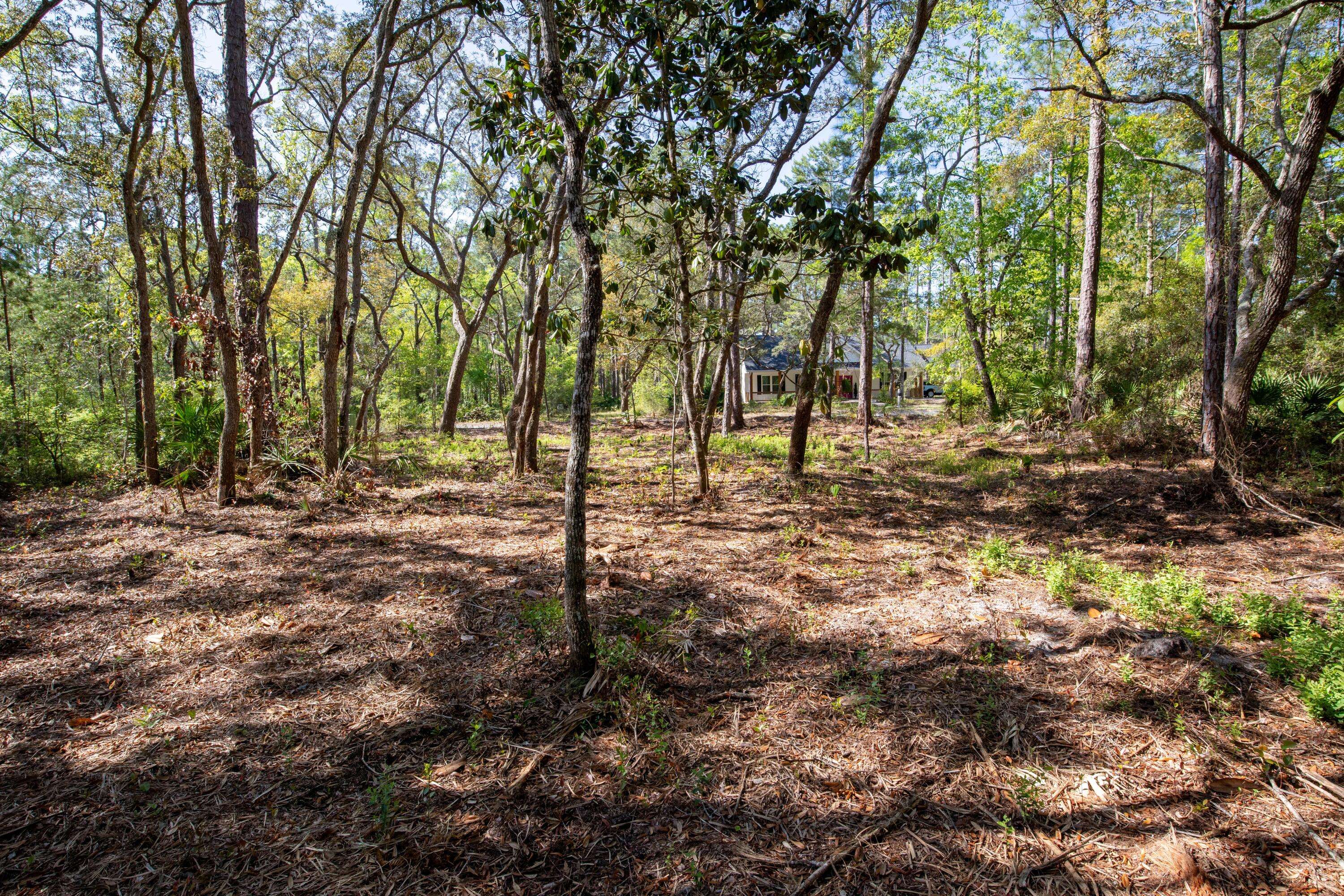 Freeport, FL 32439,LOT 30 Blk B Bayside Drive