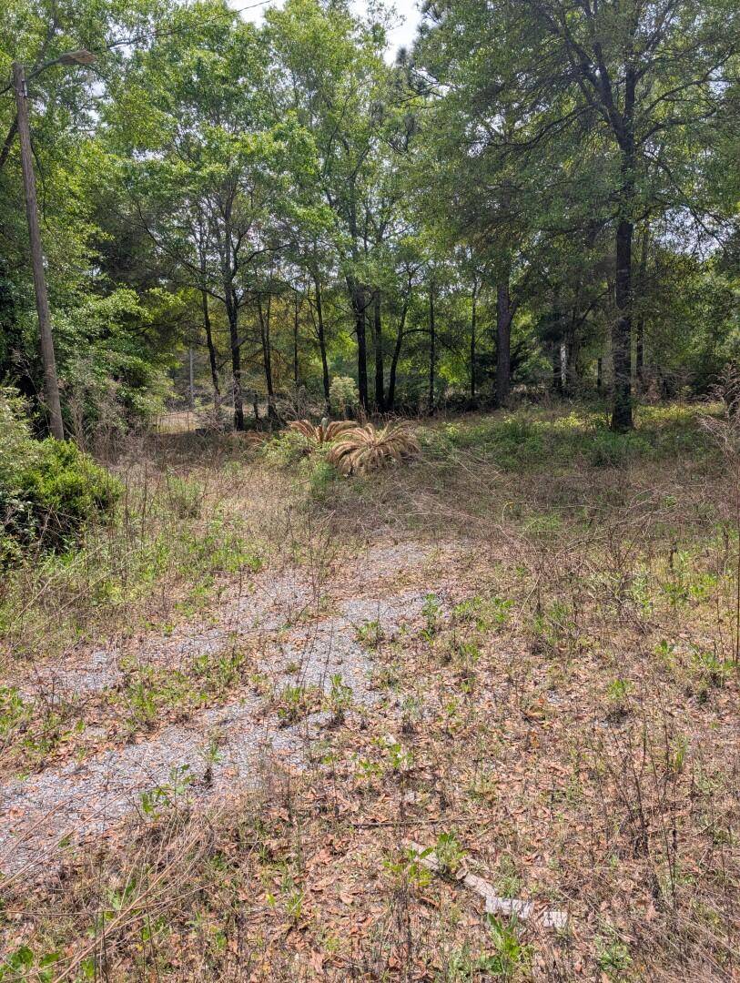 Defuniak Springs, FL 32433,456 Old Landfill Road