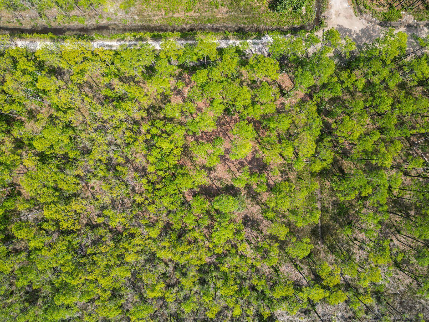 Santa Rosa Beach, FL 32459,TBD 13th Street