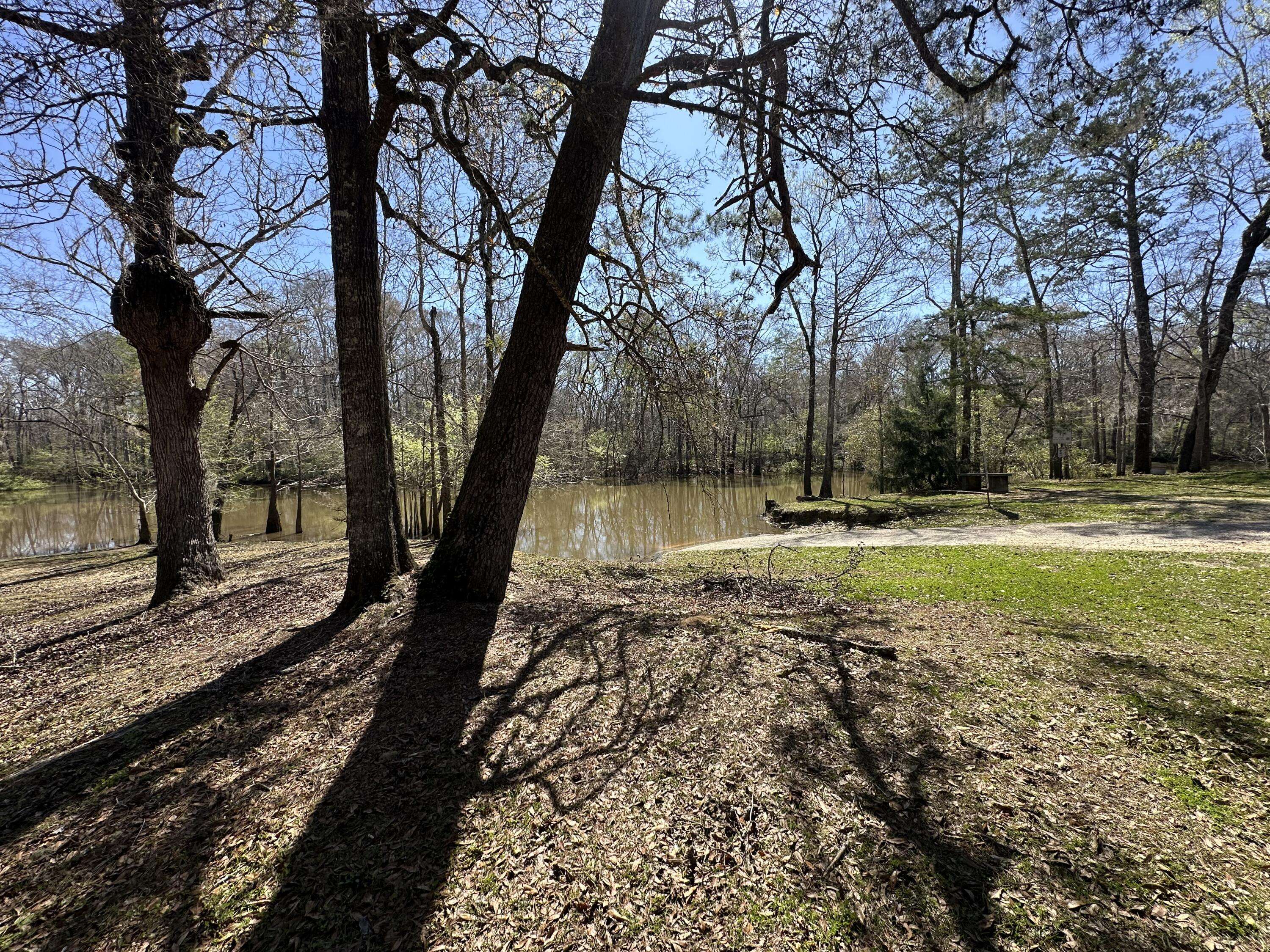 Ponce De Leon, FL 32455,Lot 12 Coon Bottom Estates