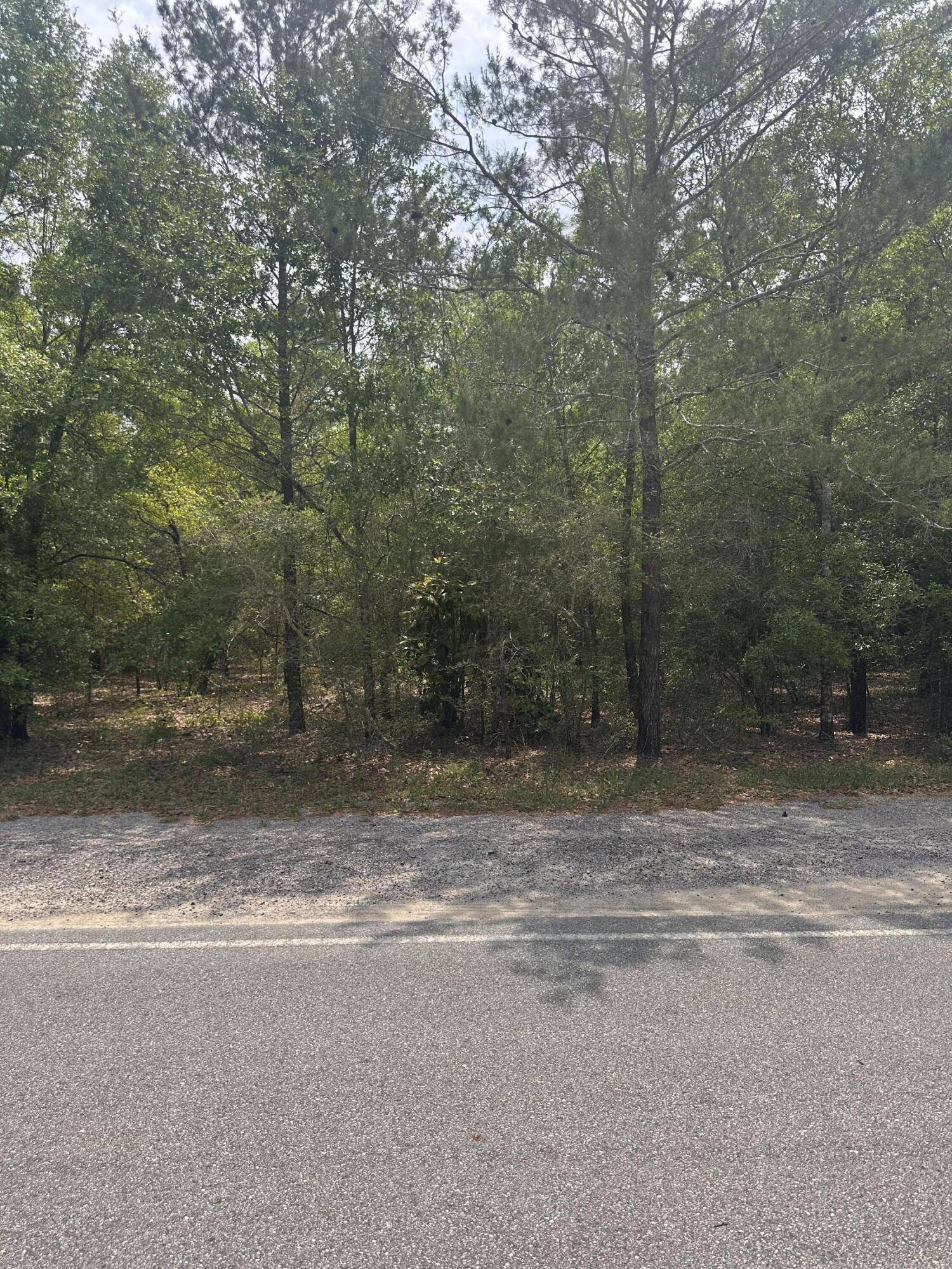 Defuniak Springs, FL 32433,Lot 14 Blk 18 Windflower Street