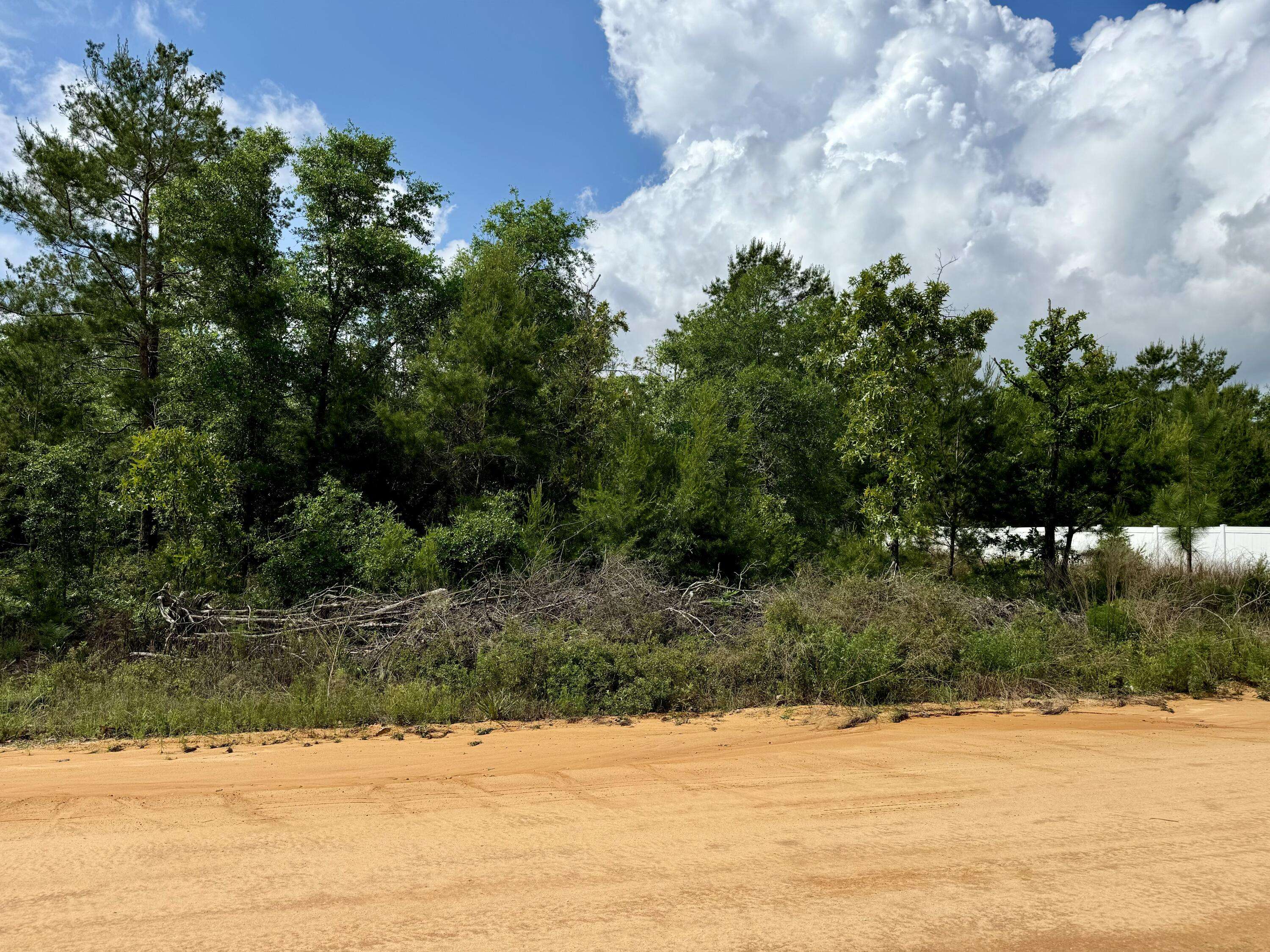 Defuniak Springs, FL 32433,Lot 3 E Marigold Avenue