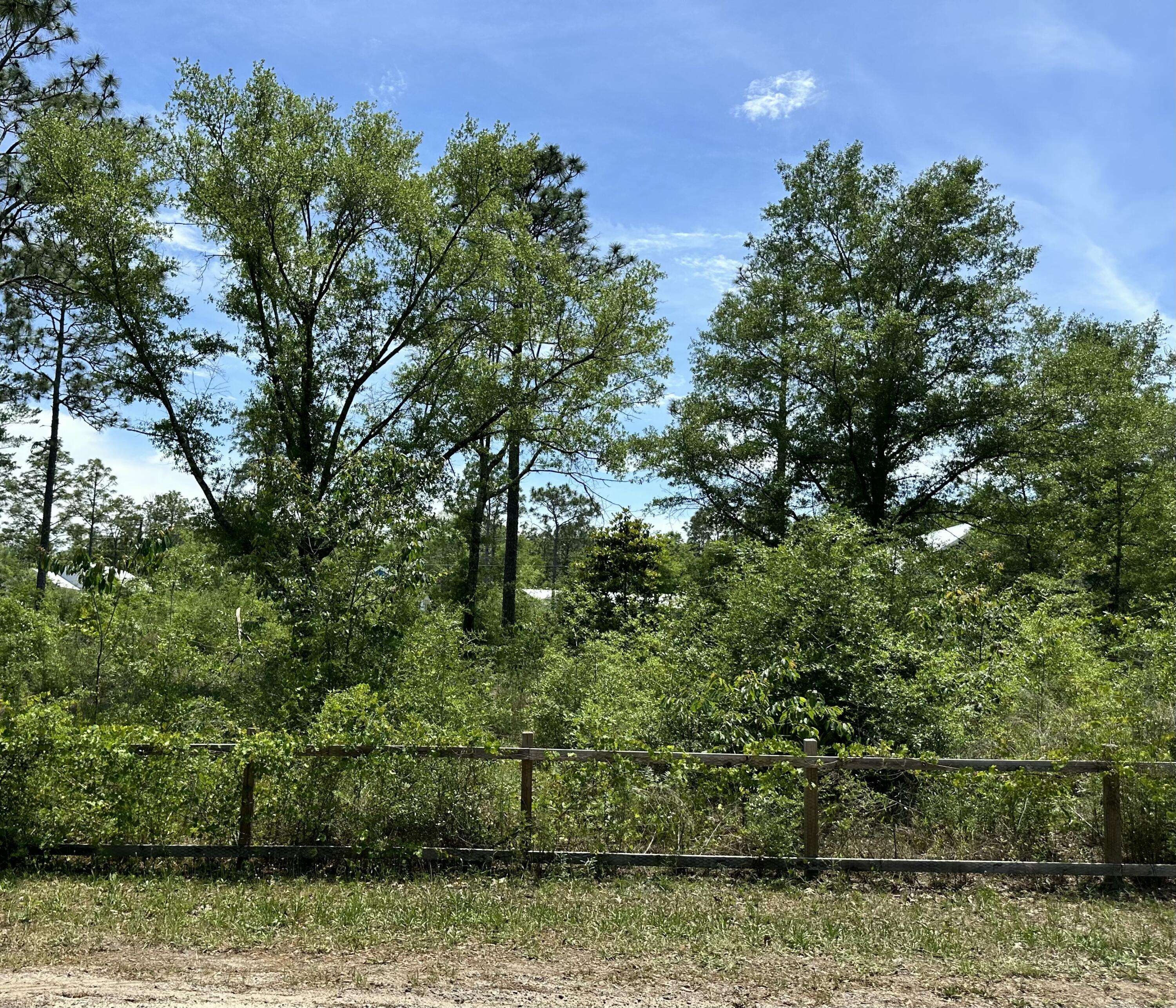 Defuniak Springs, FL 32433,Lot 4 W Renoir Road