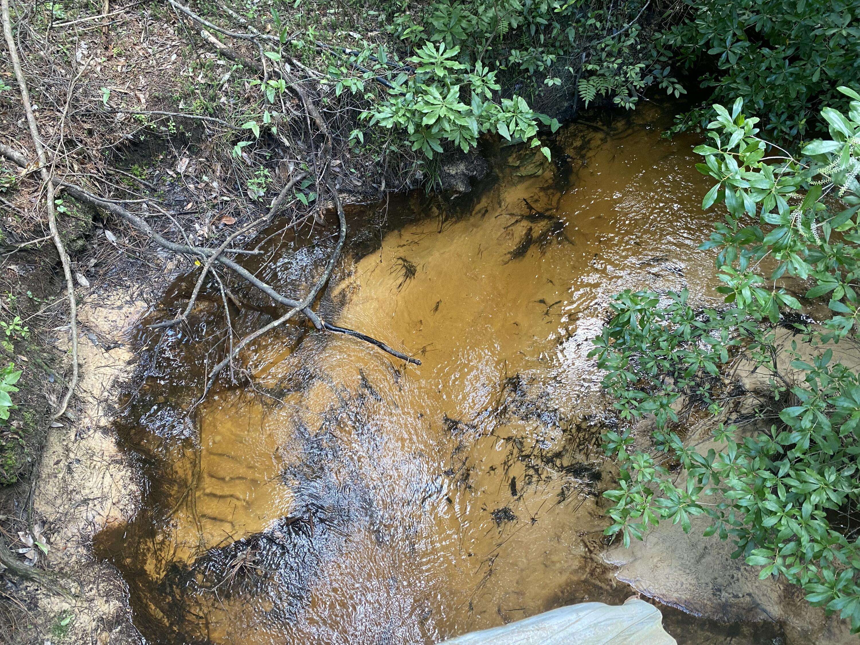 Baker, FL 32531,31 acres Canyon Trail