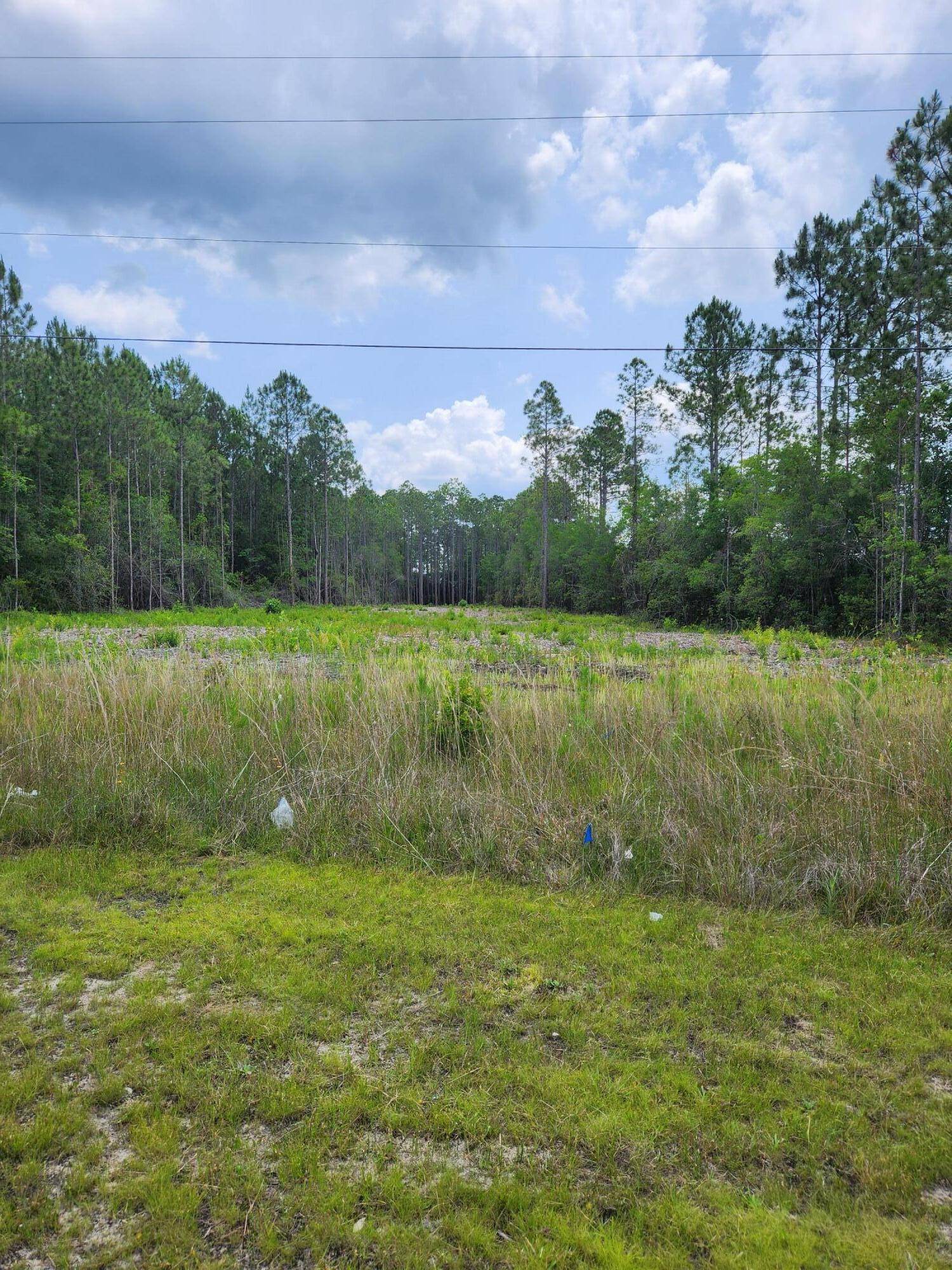Freeport, FL 32439,331 331 Business