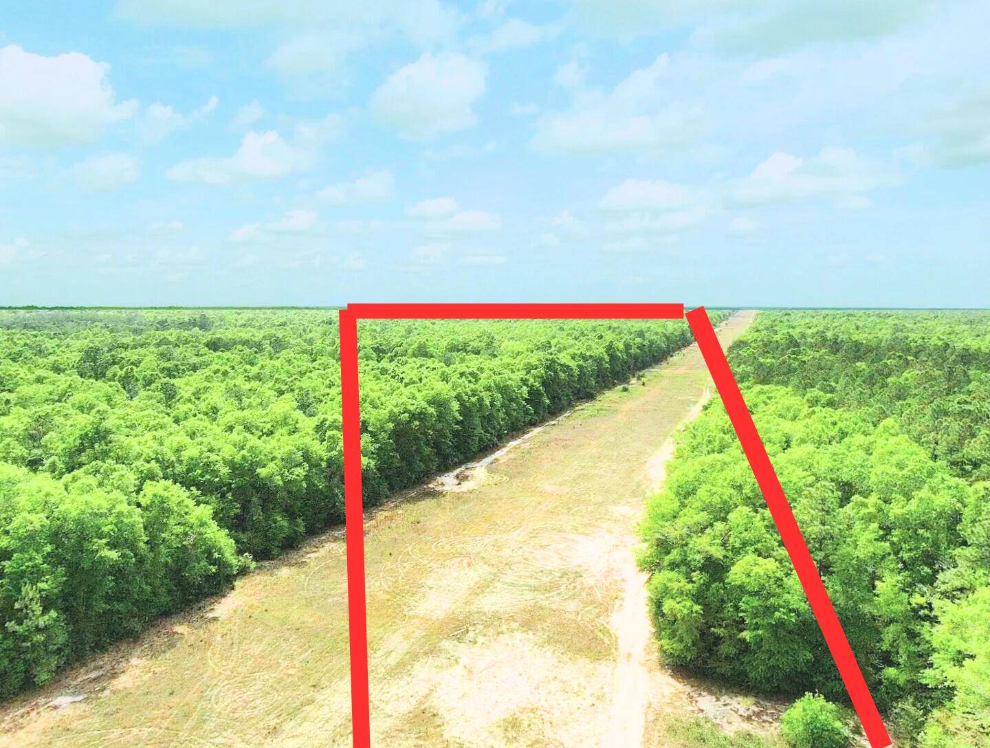 Crestview, FL 32539,7.97 ACRES LAKE ELLA RD Road