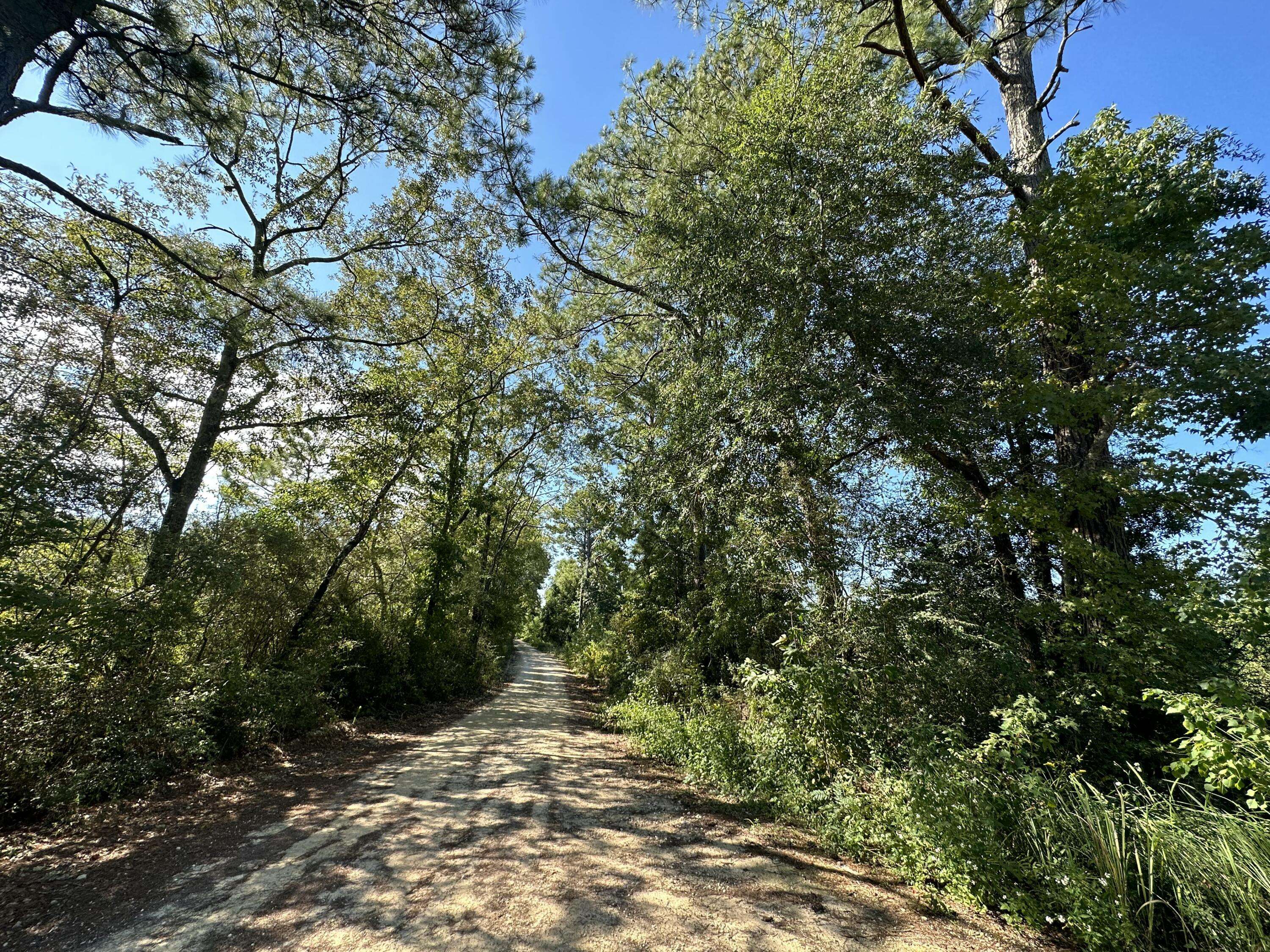 Laurel Hill, FL 32567,Parcel H Millside Road