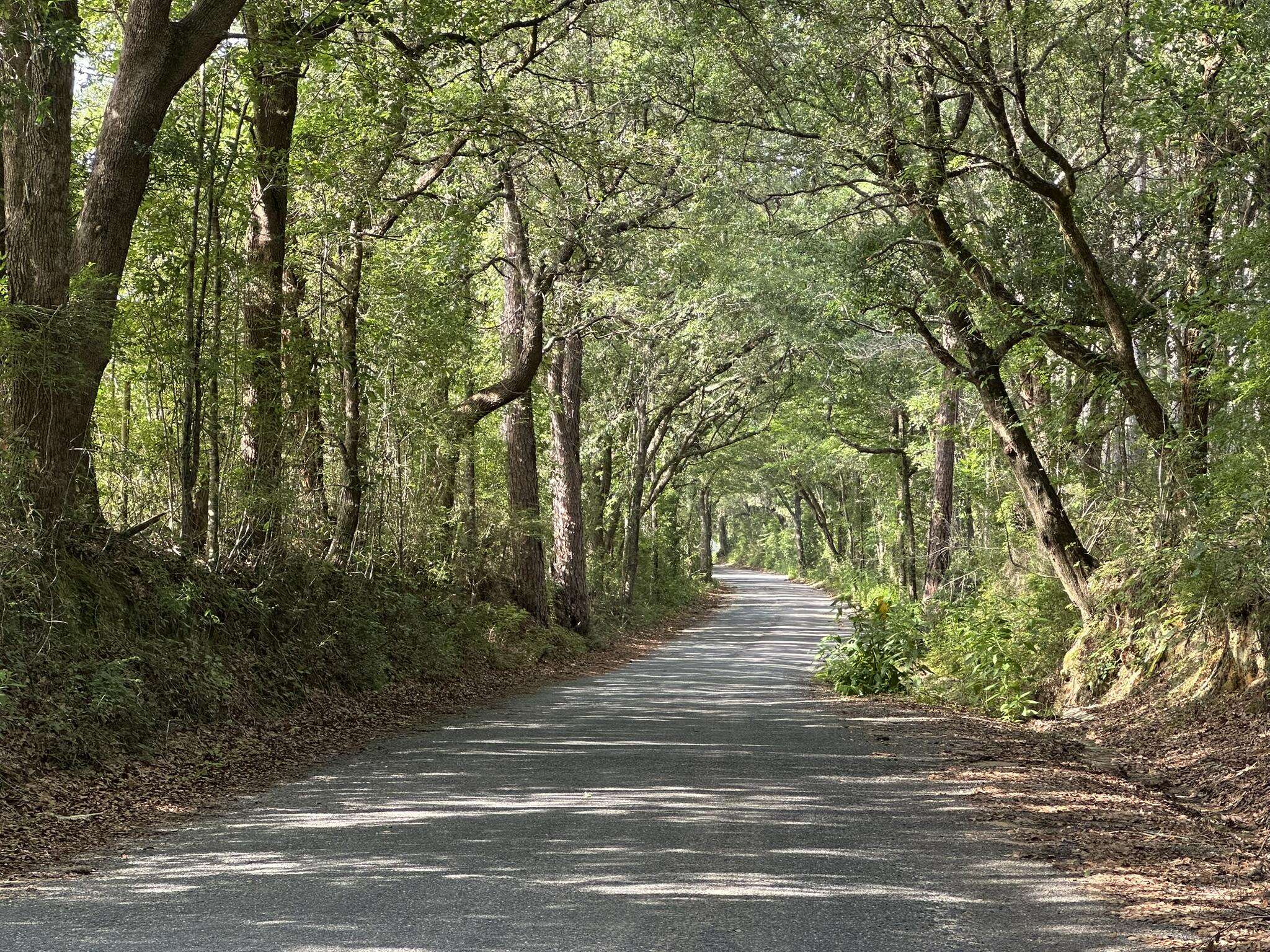 Baker, FL 32531,40 ac +/- Old River Road