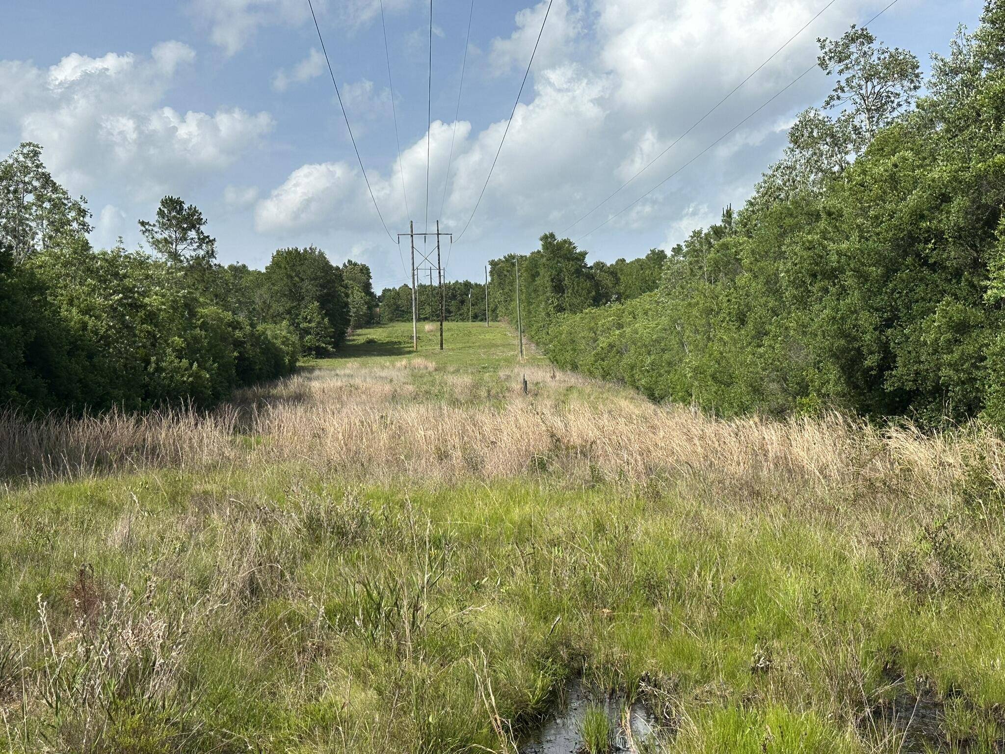 Baker, FL 32531,185.19 AC Old River Road