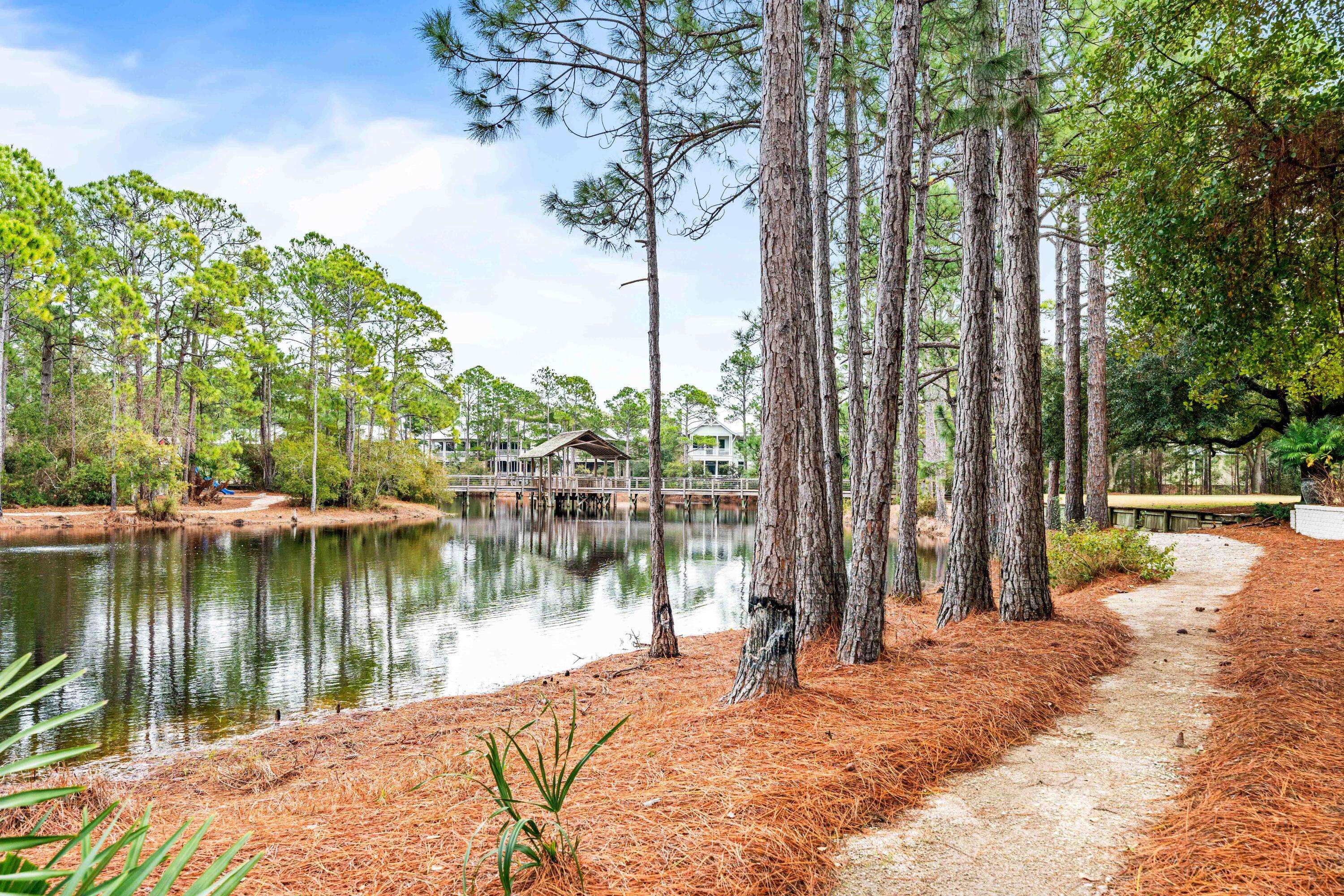 Santa Rosa Beach, FL 32459,86 Lanier Lane