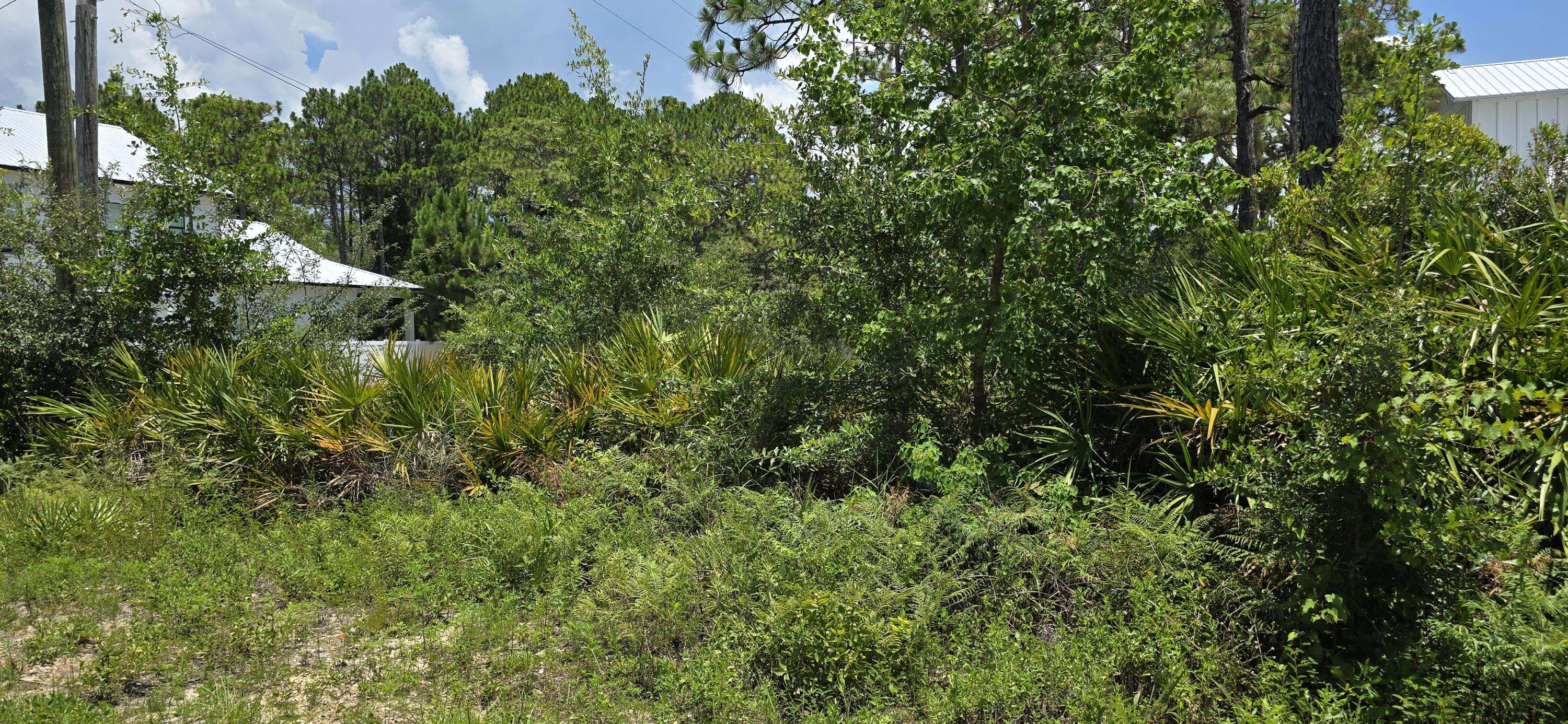 Santa Rosa Beach, FL 32459,Lot #24 Elm Street