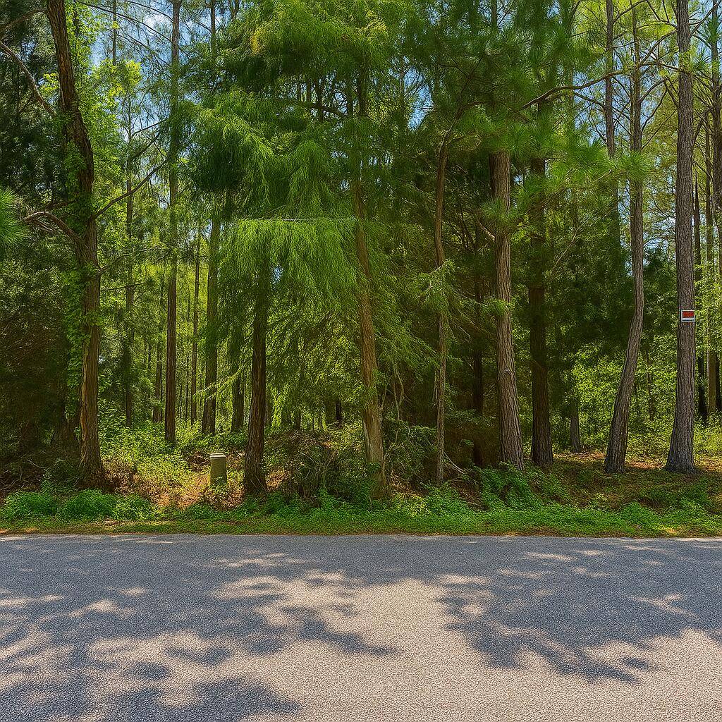 Freeport, FL 32439,Lot 2 Dolphin Cove
