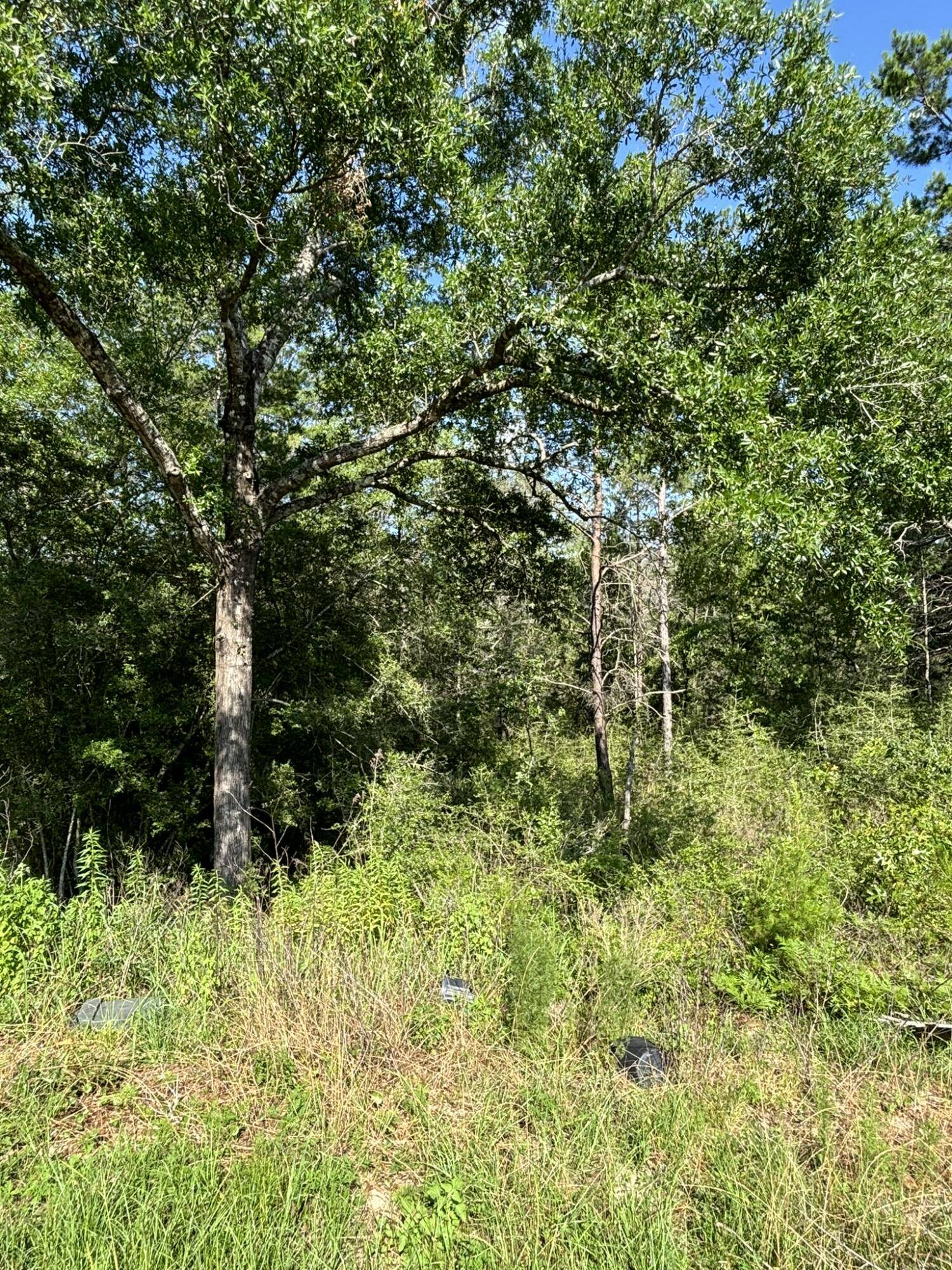 Defuniak Springs, FL 32433,0 E White Rose Street
