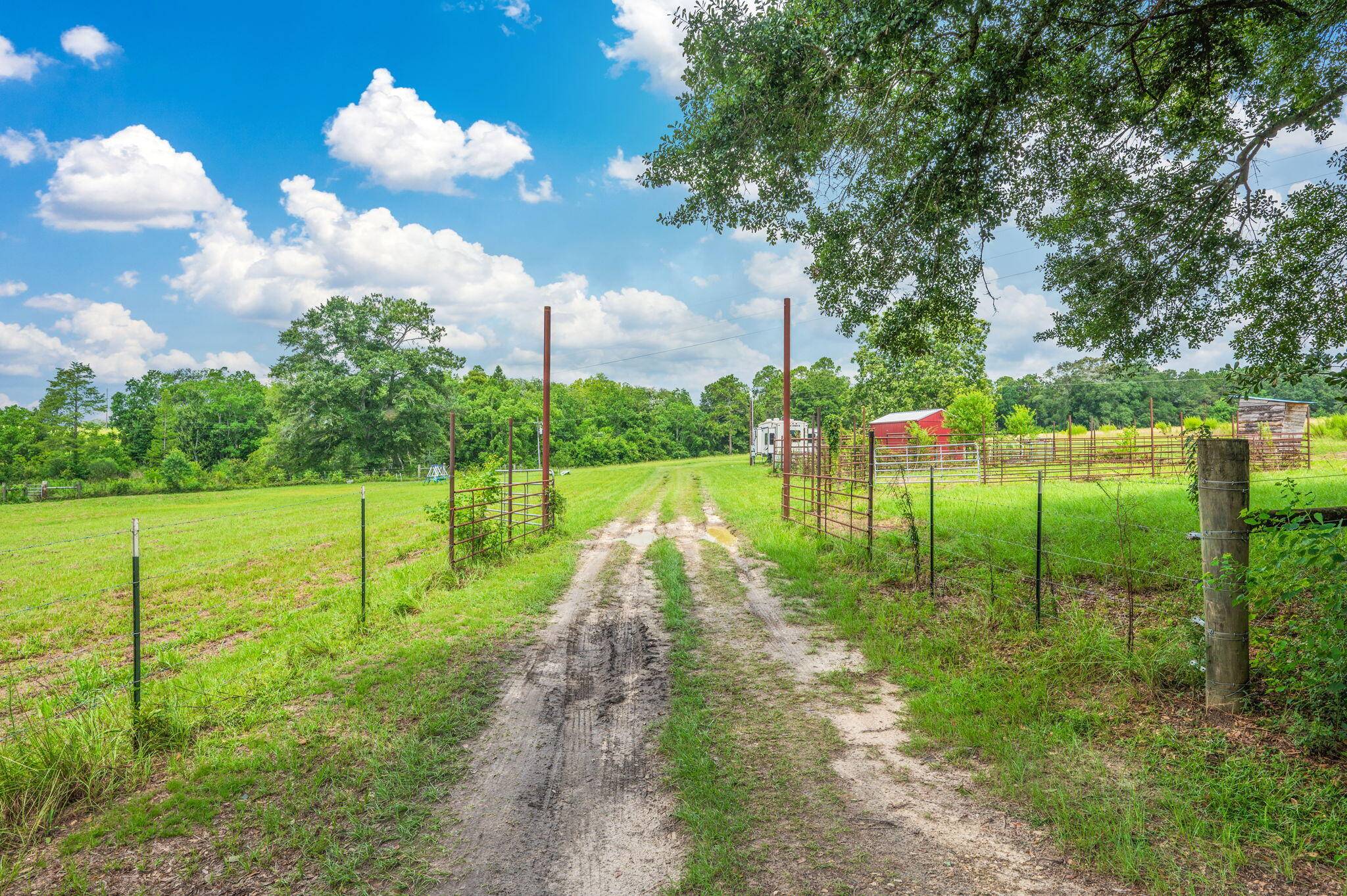 Florala, AL 36442,2685 Prescott Road