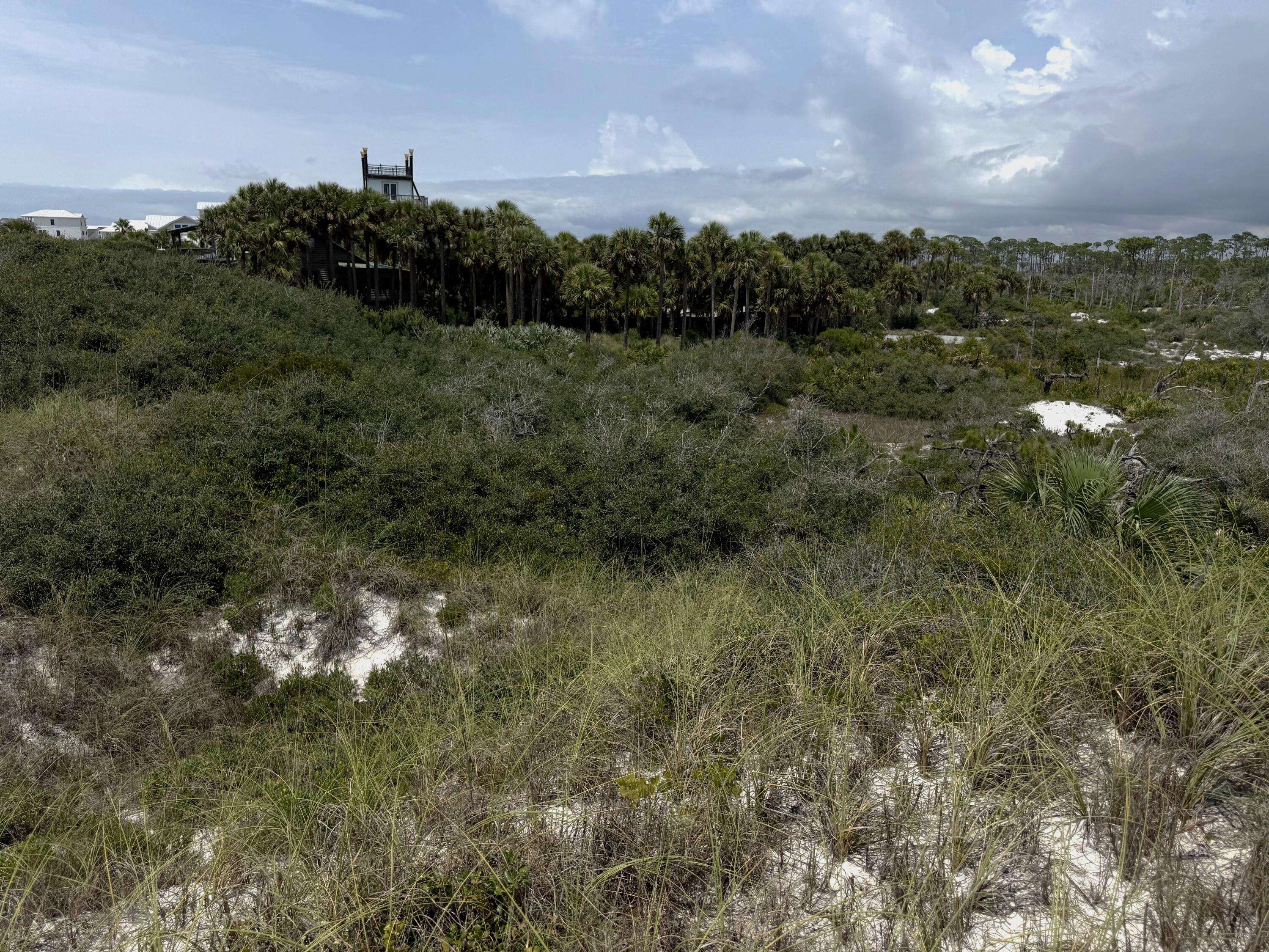 Cape San Blas, FL 32456,TBD Boyne Road