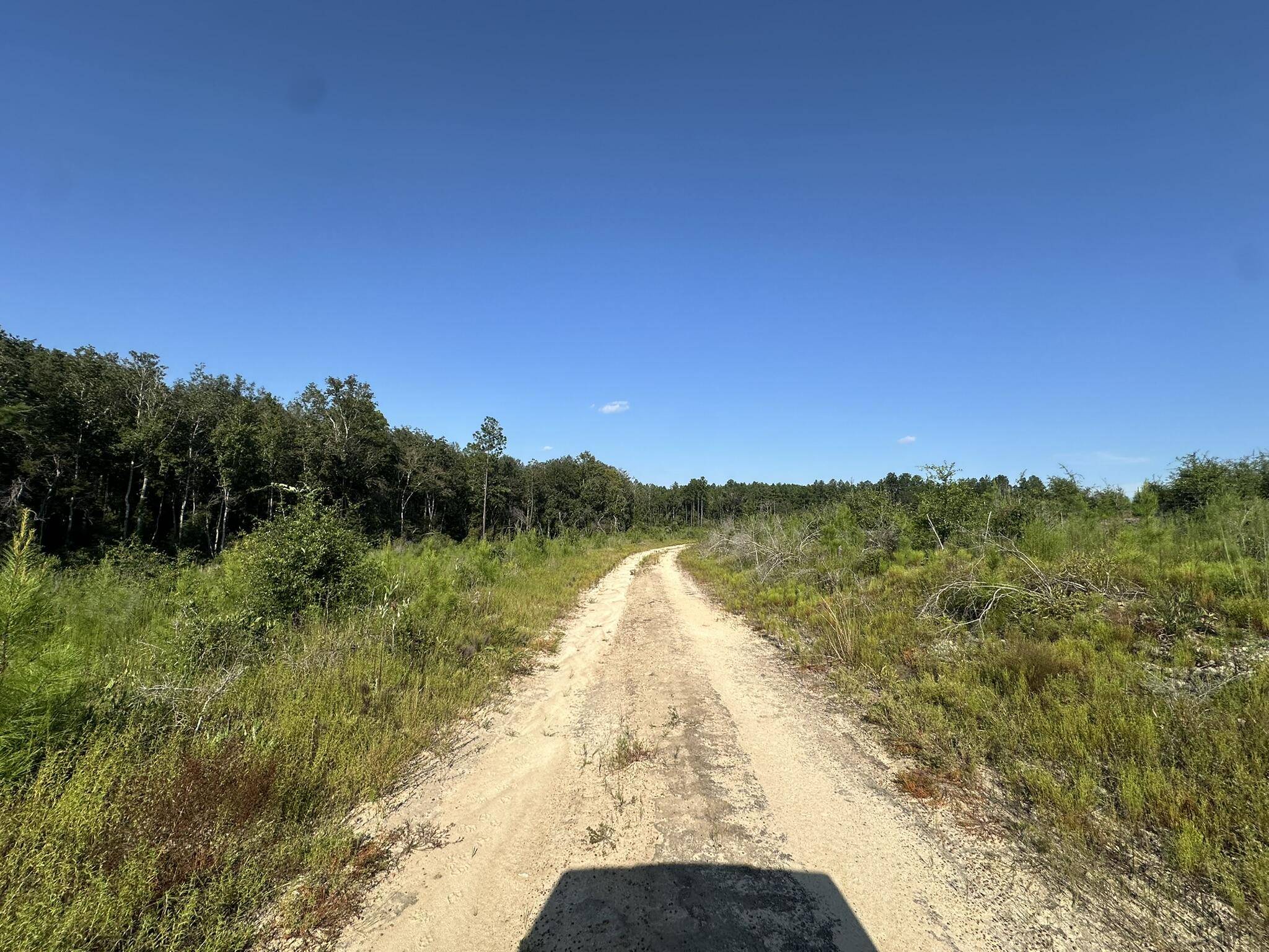 Caryville, FL 32427,Tract#6409 River Road  #250.72+/-AC