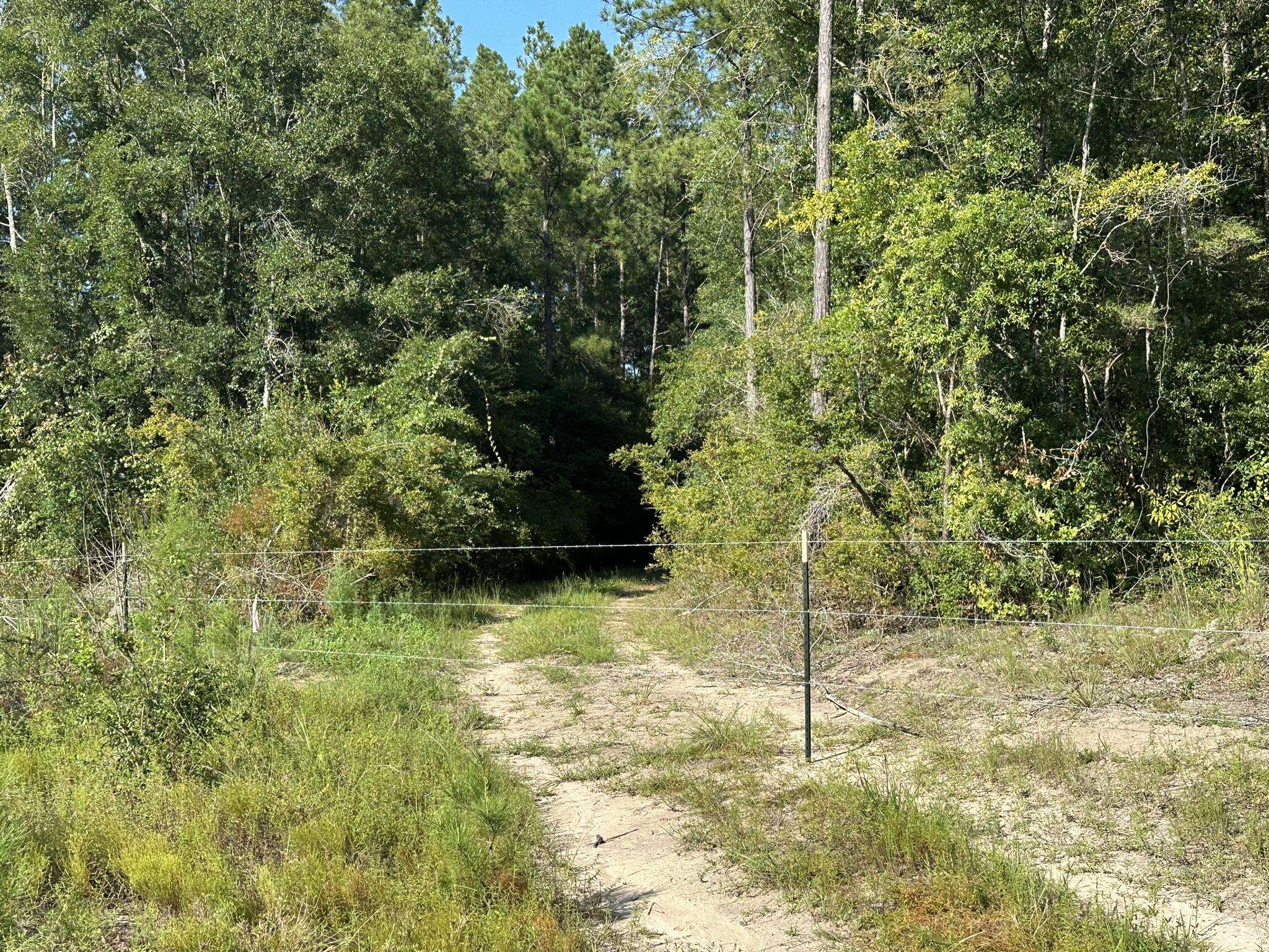 Caryville, FL 32427,Tract#6409 River Road  #250.72+/-AC